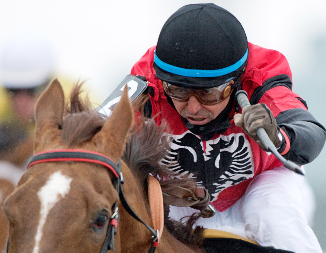 Jockey Eurico da Silva, 2019