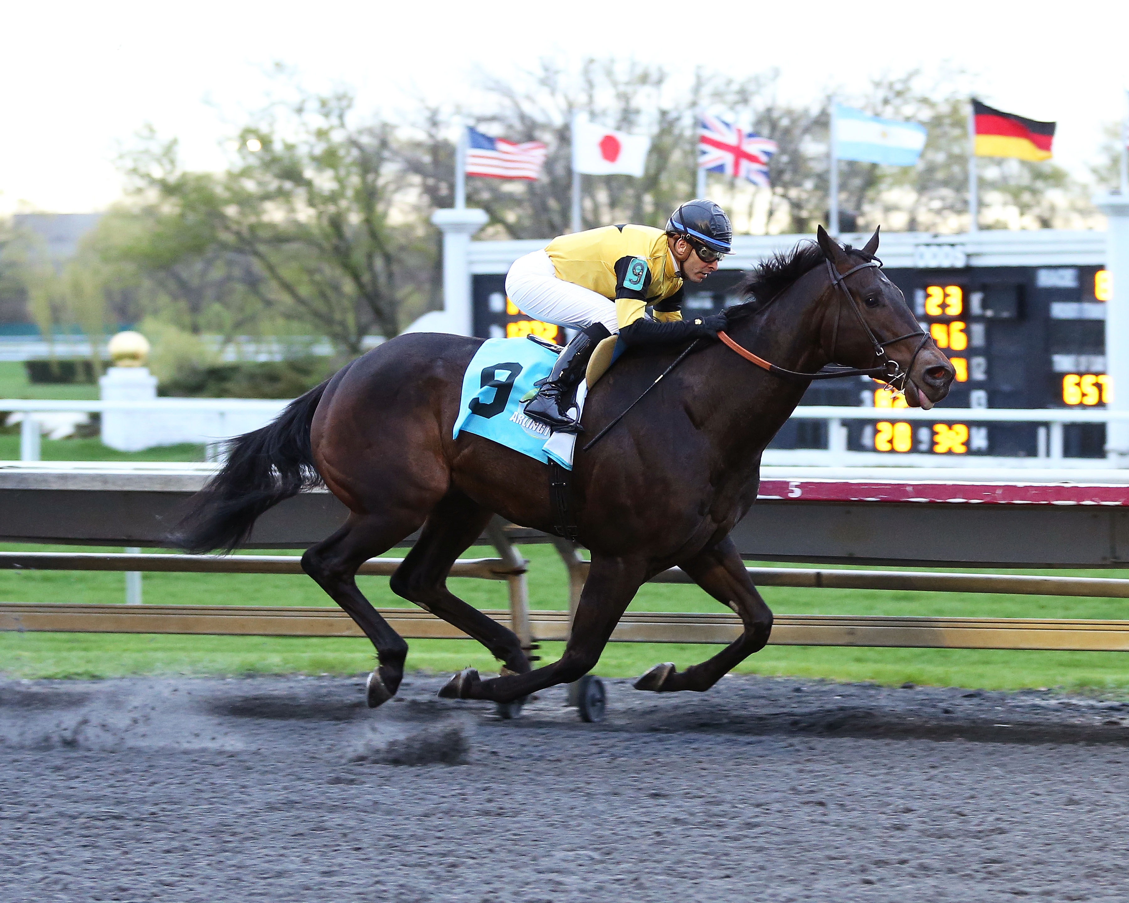 Dabo wins an Arlington Park allowance on 5.3.19
