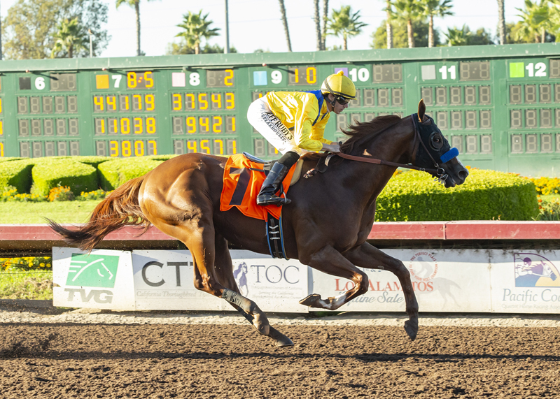 Dabster wins 2018 Los Alamitos Special