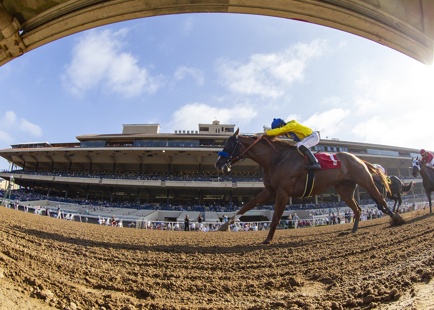Dabster wins the 2018 Harry F. Brubaker Stakes