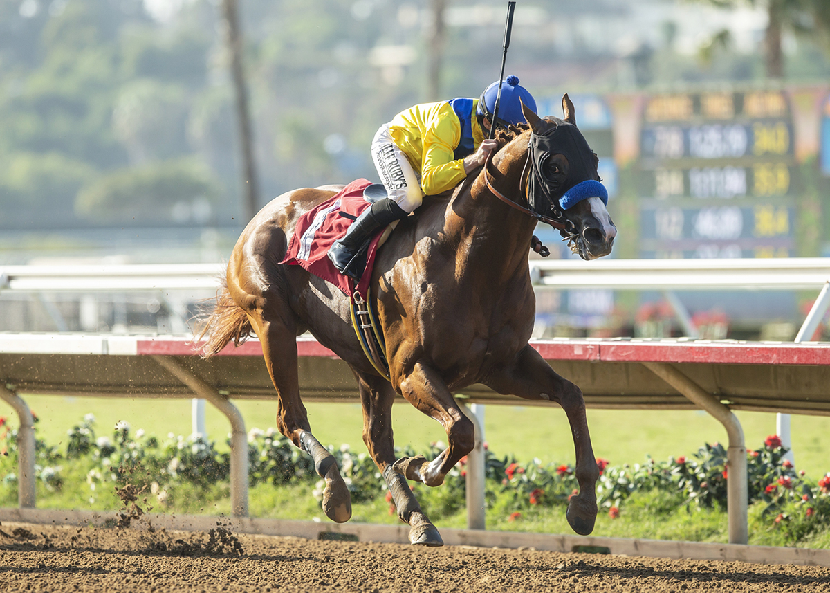 Dabster wins the Harry F. Brubaker Stakes