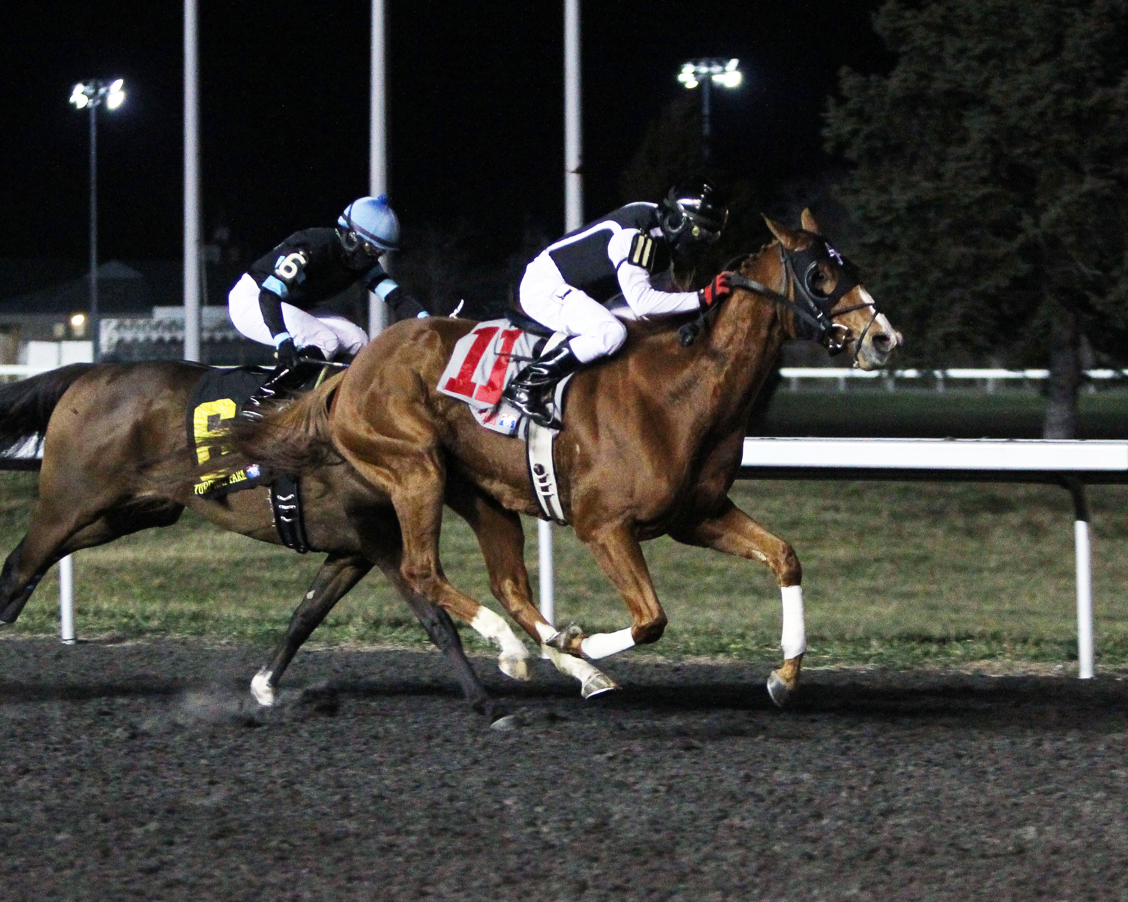 Dac wins the 2015 Prairie Bayou Stakes