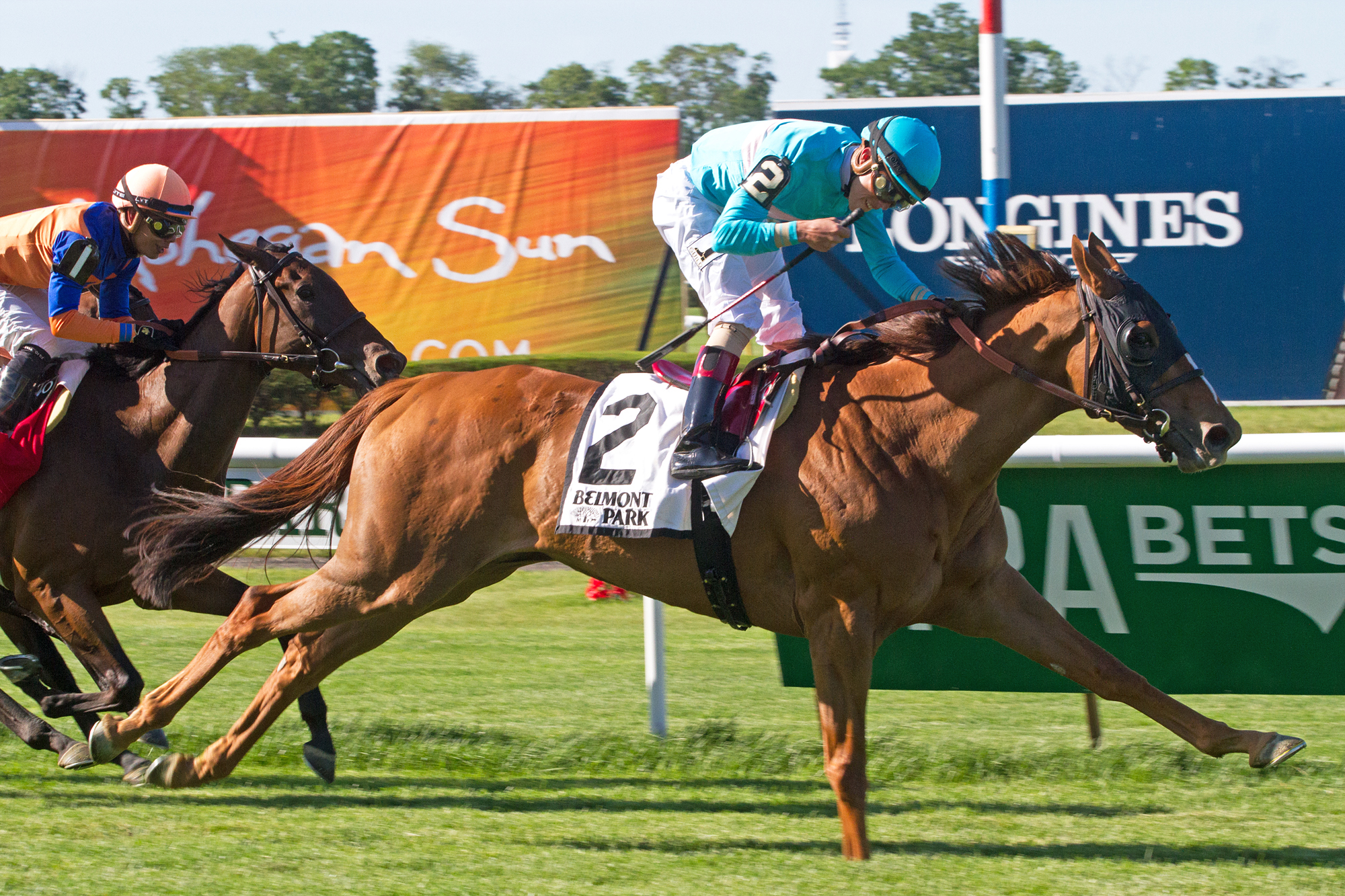 Dacita wins the New York Stakes