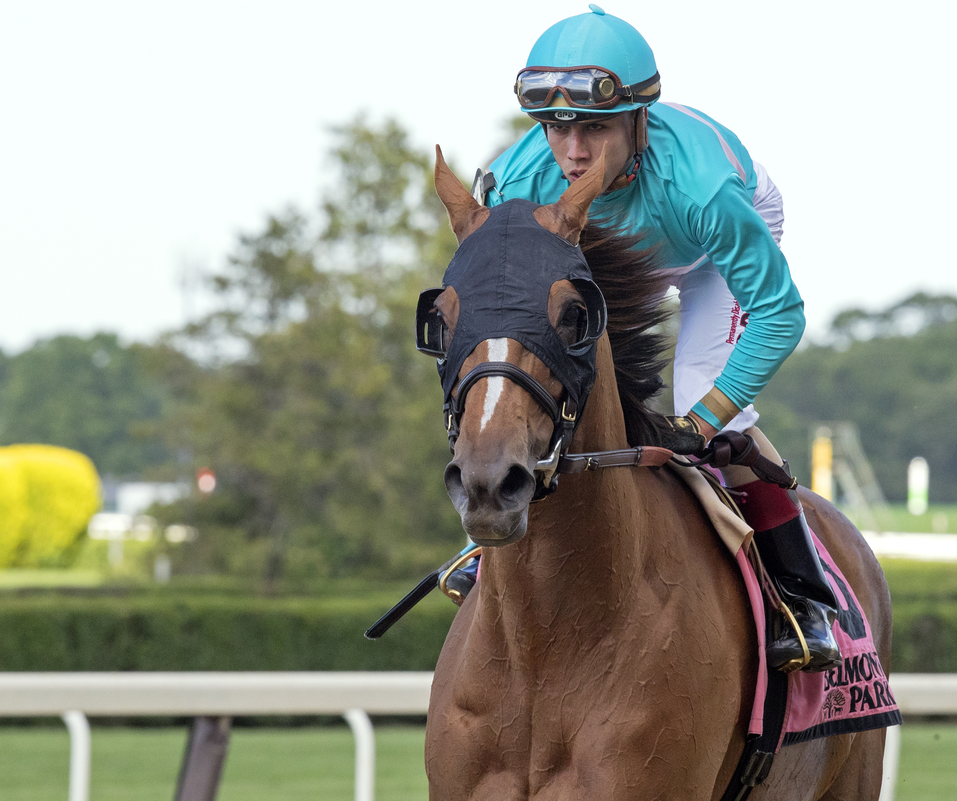 Dacita at the 2017 New York Stakes