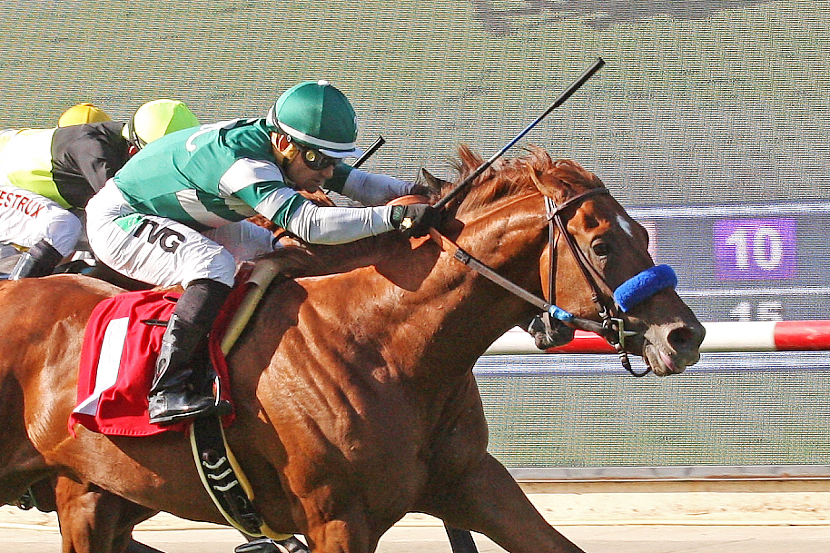 Daddy D T wins the 2014 Oak Tree Juvenile Turf