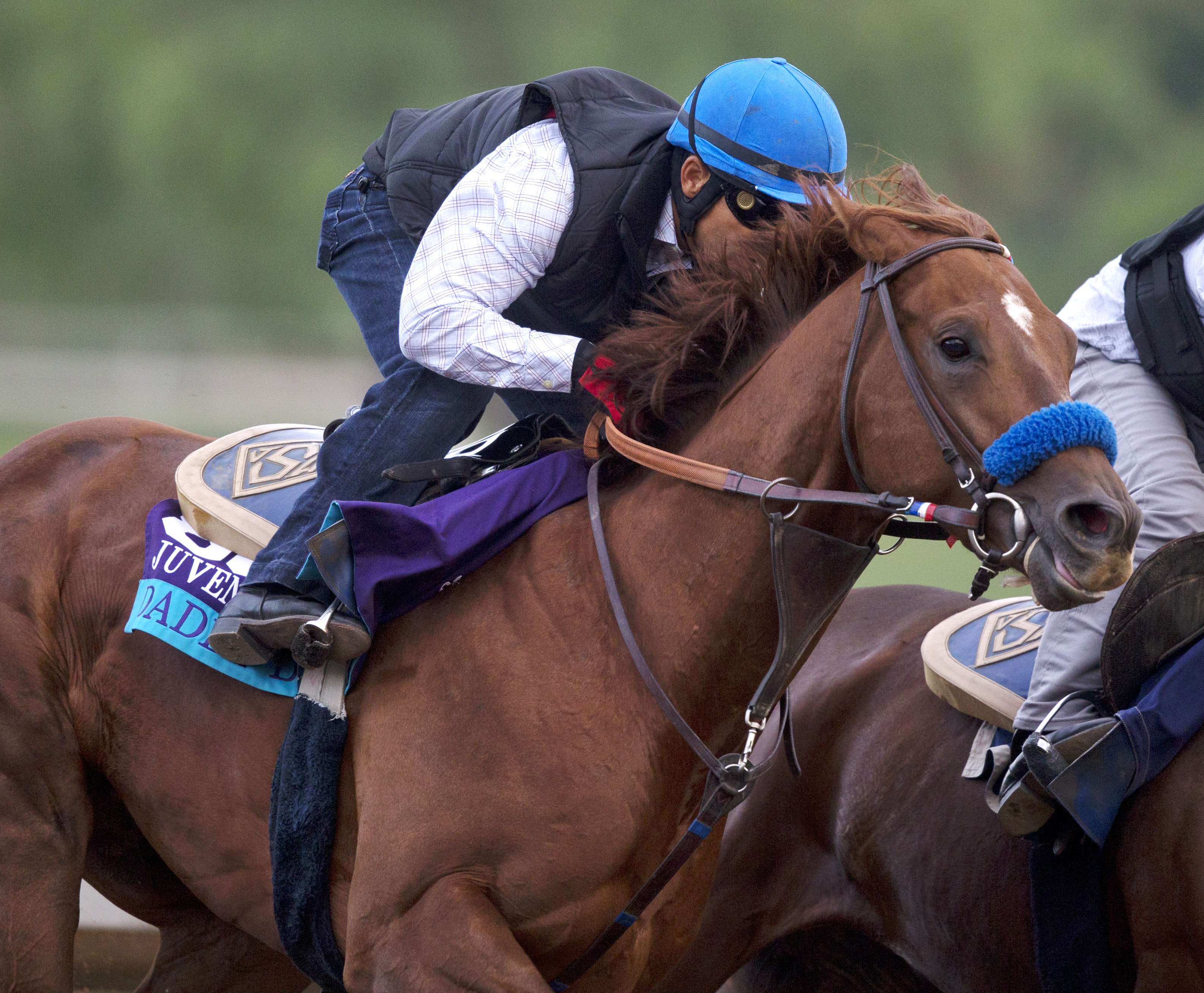 Daddy D T trains at Santa Anita