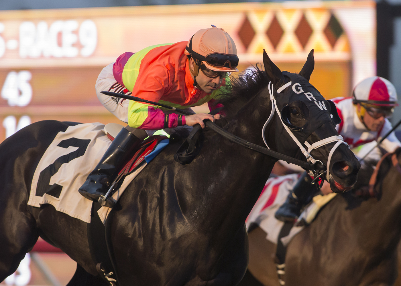 Daddy Is a Legend wins the the 2017 Jimmy Durante Stakes