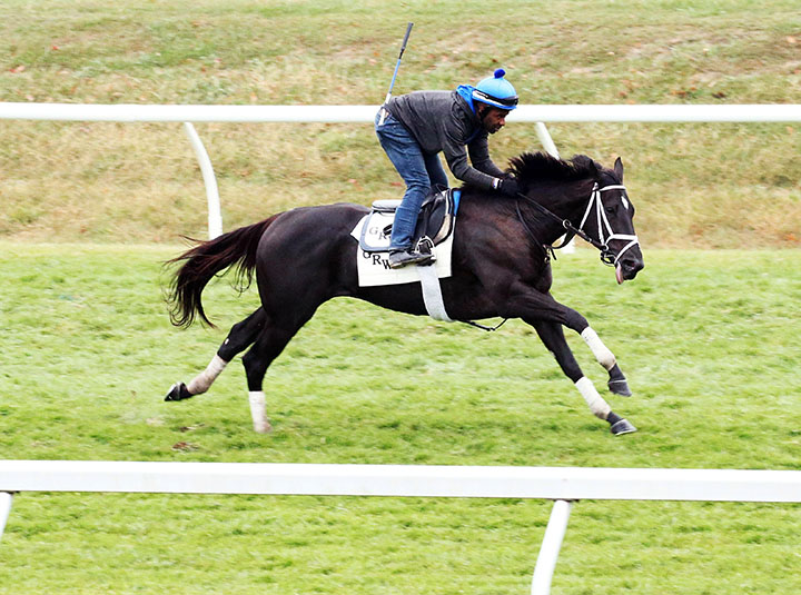 Daddy Is a Legend trains at Keeneland Racecourse on Oct. 20