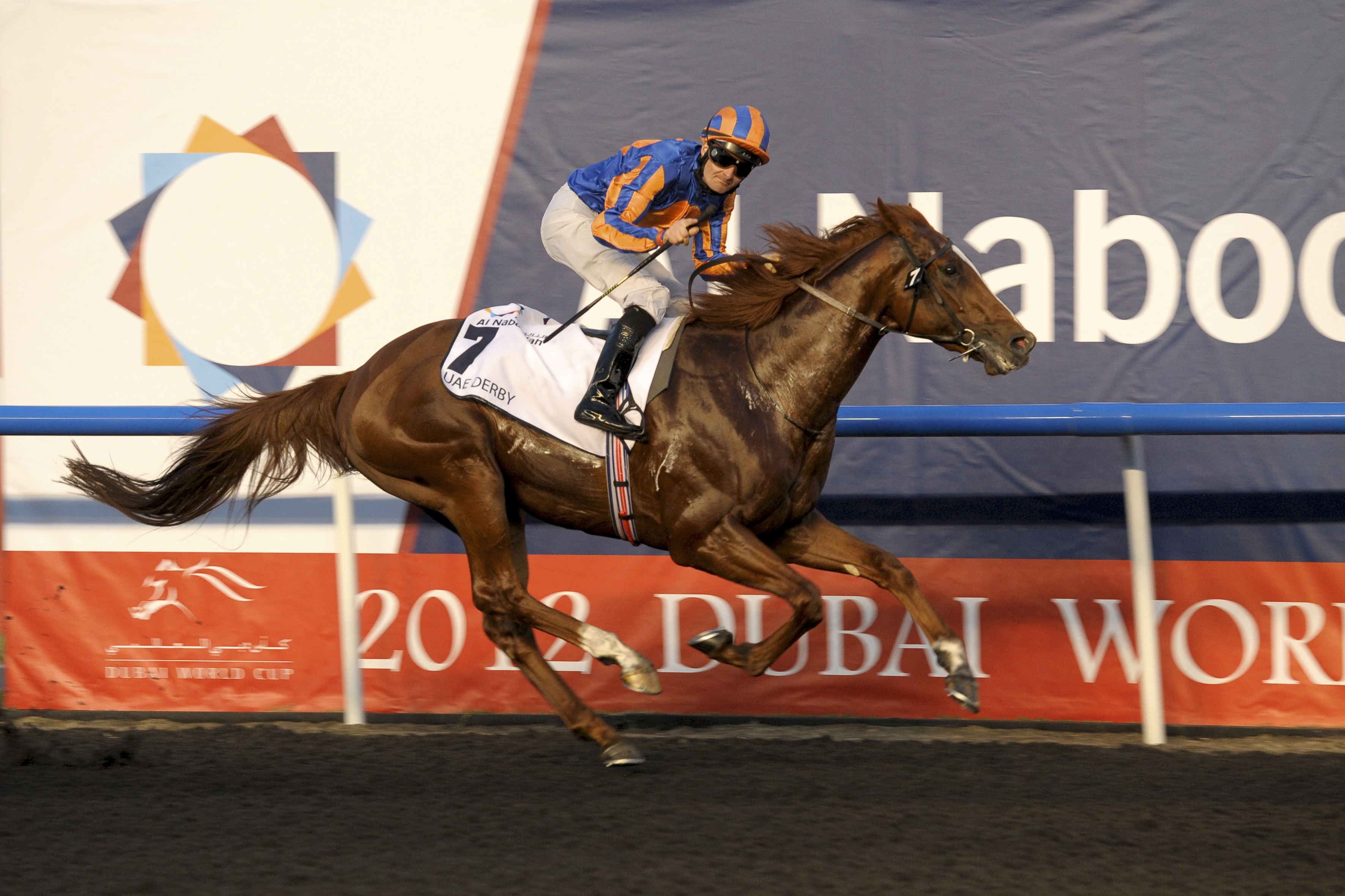 Daddy Long Legs/UAE Derby