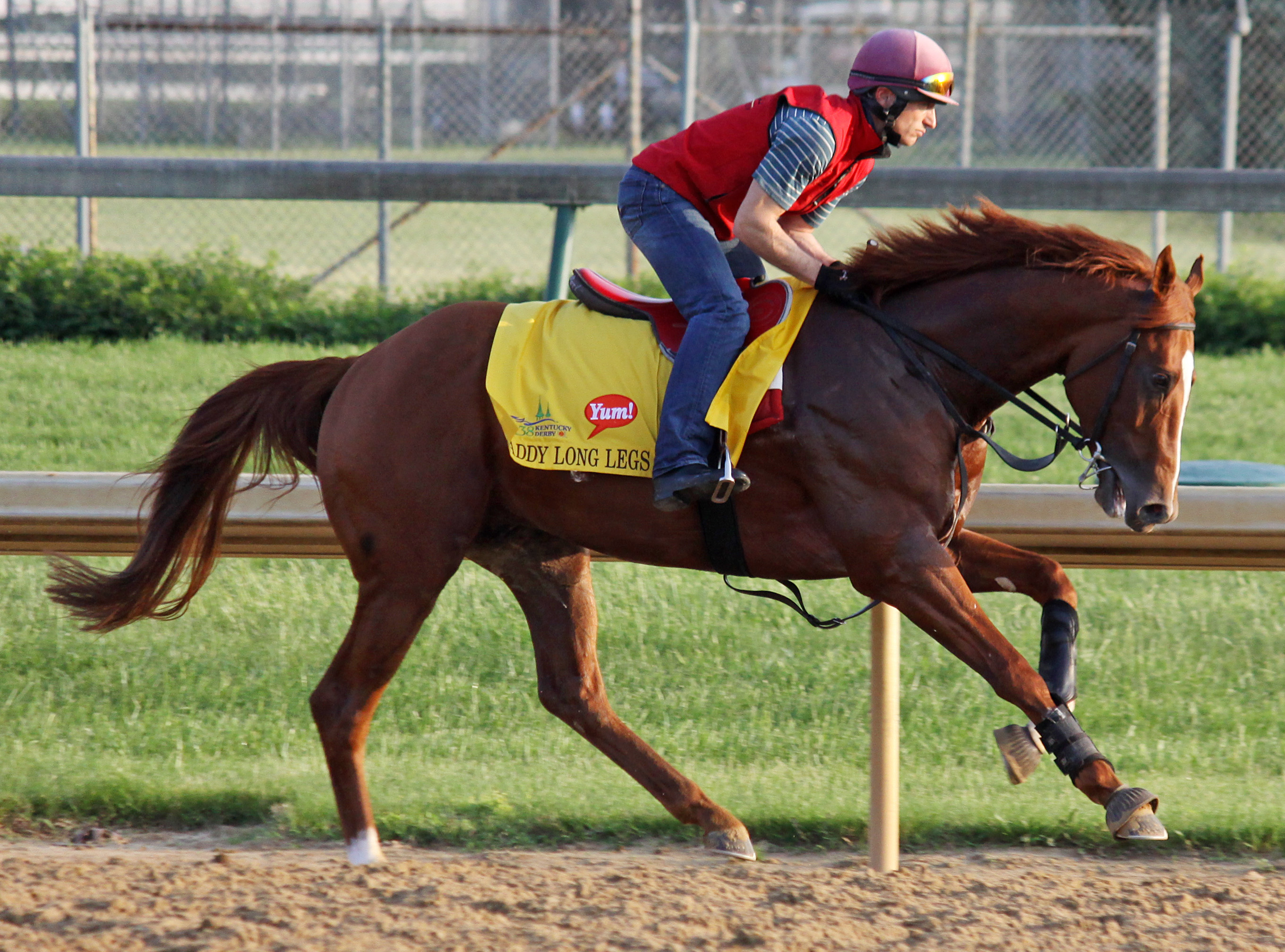 2012 Kentucky Derby: Daddy Long Legs hits track for first time