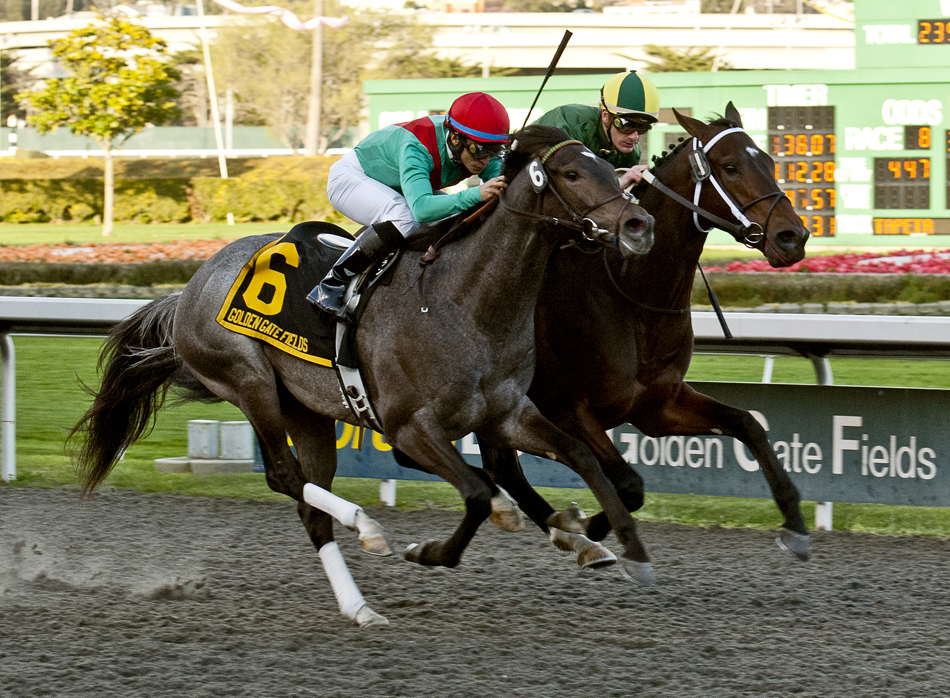 Lucky Chappy/(second in) El Camino Real