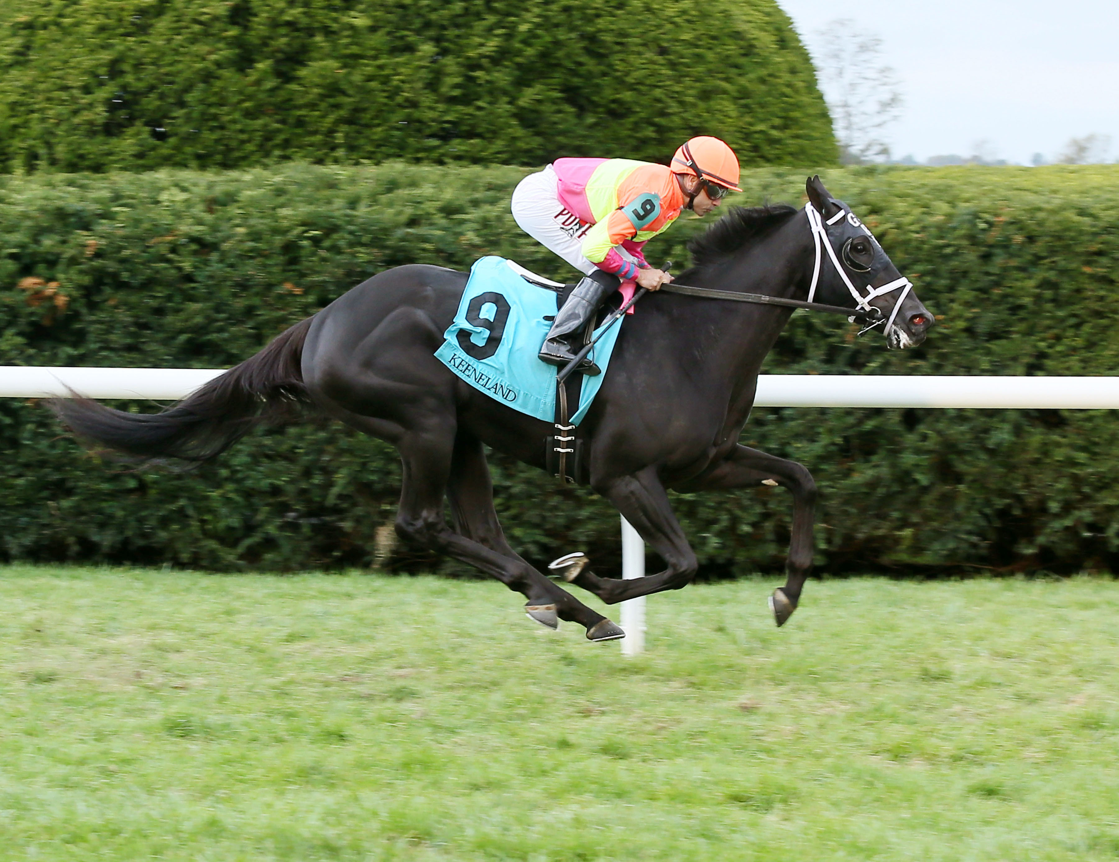 Daddy is a Legend wins an Oct. 27 maiden