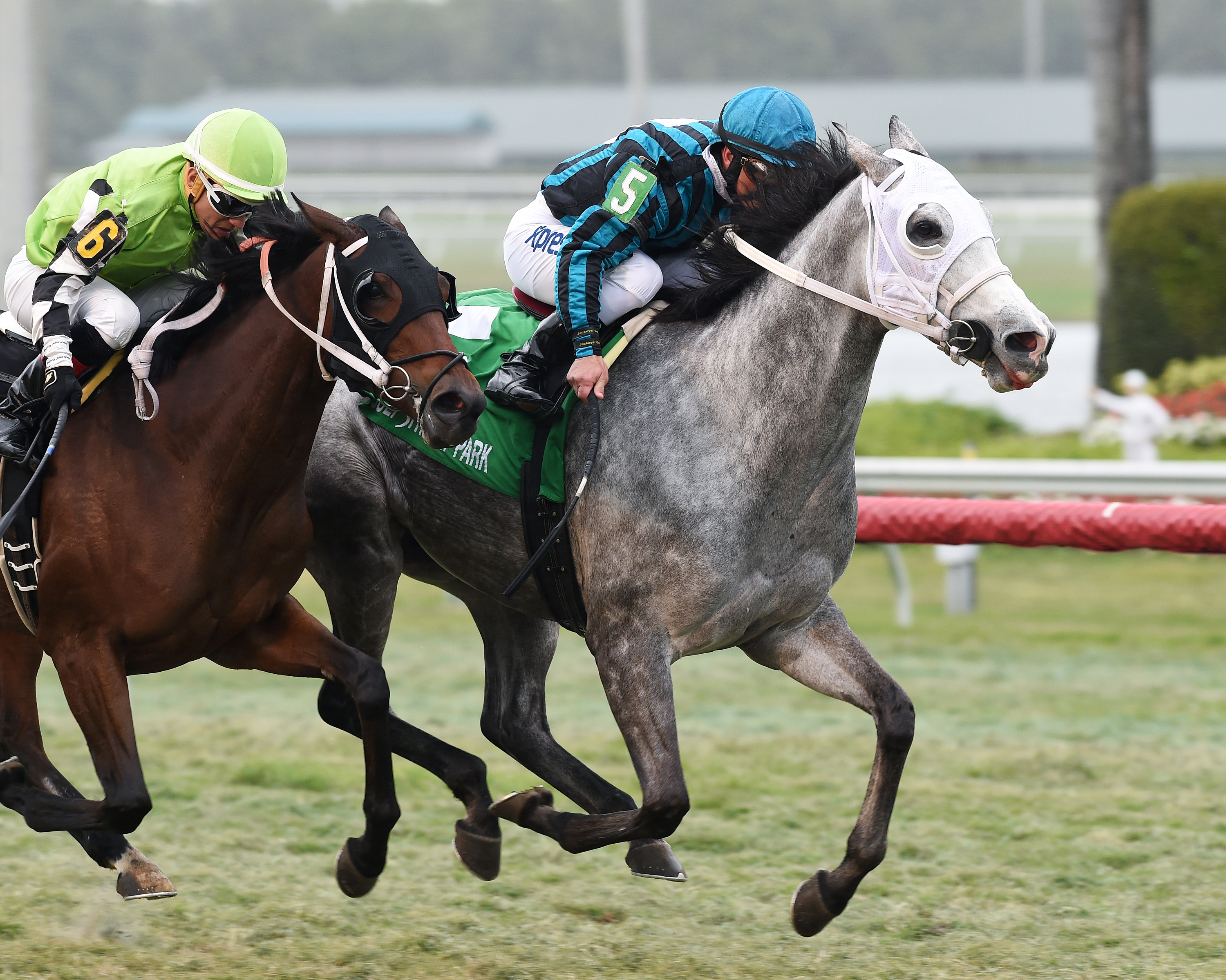 Daddy's Boo wins the Mary Todd Stakes