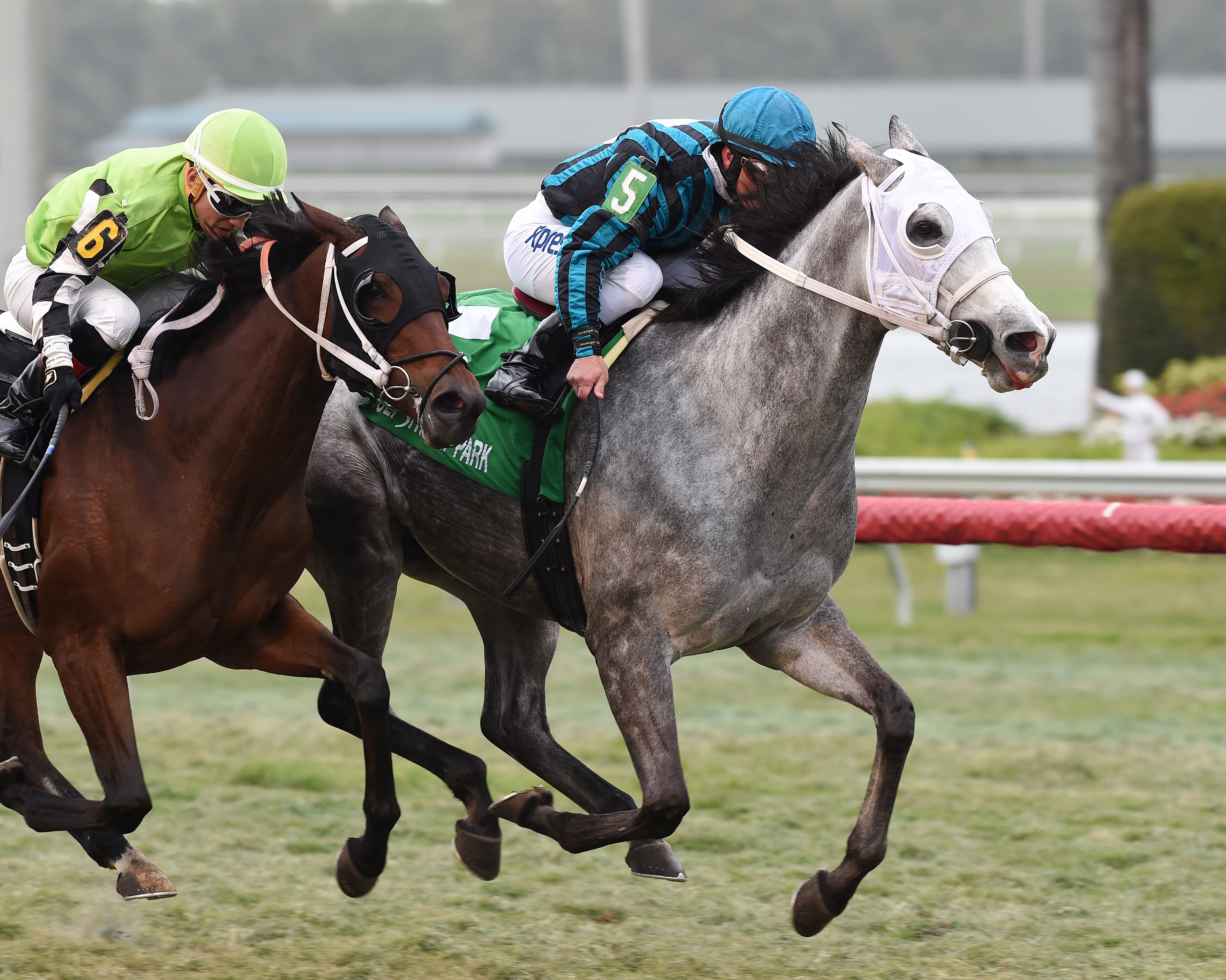 Daddy's Boo wins the Mary Todd Stakes
