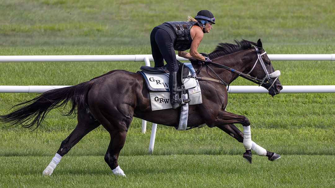Daddy Is a Legend trains at Saratoga in July 2021