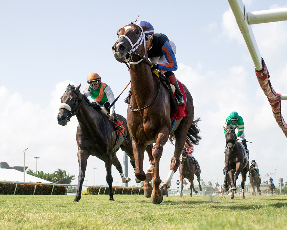Daddy's Joy wins a September 2020 maiden race at Gulfstream Park