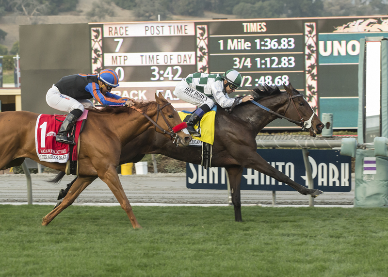 Daddys Lil Darling wins the 2017 American Oaks at Santa Anita