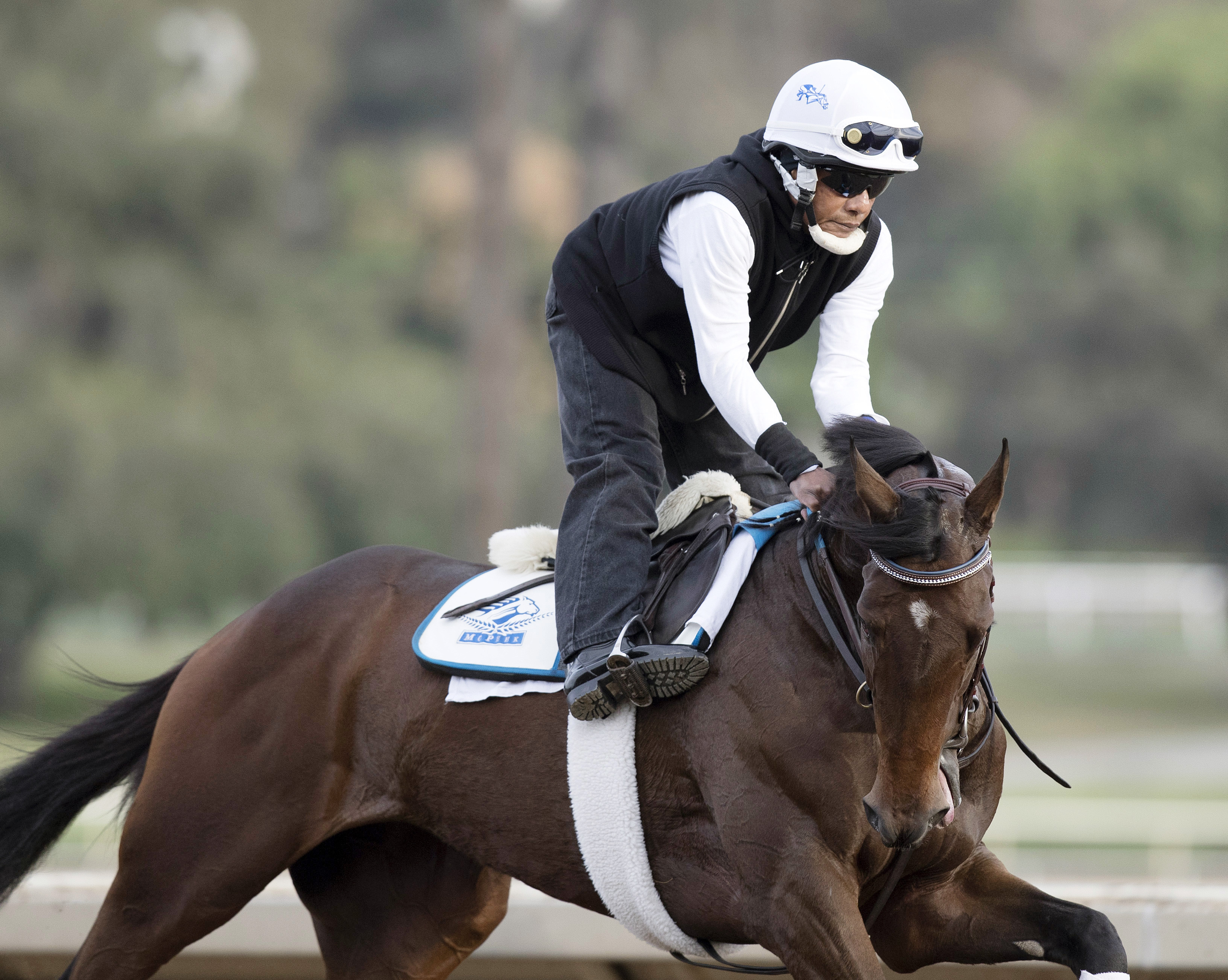 Daddys Lil Darling trains at Santa Anita on Oct. 27