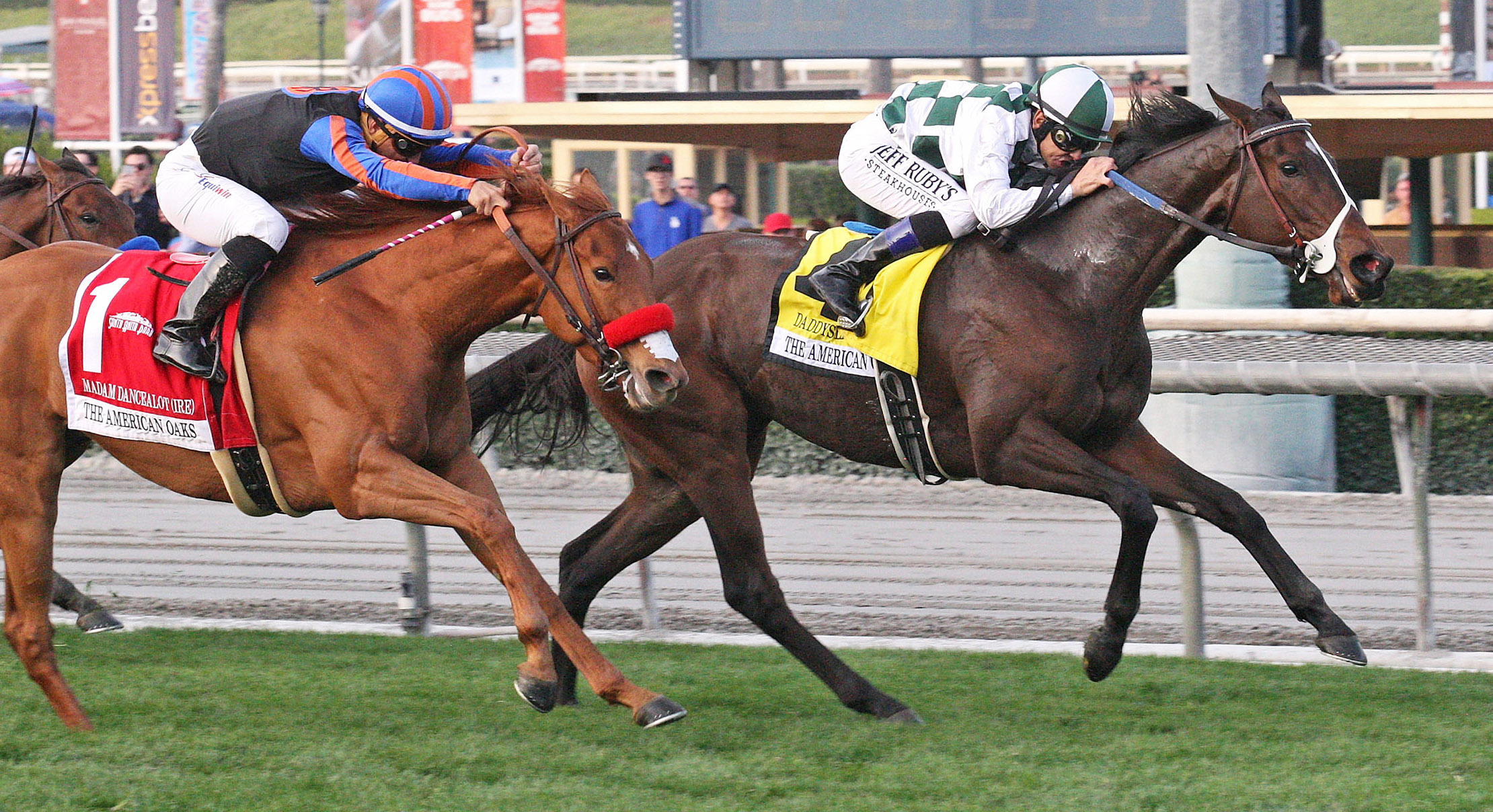 Daddys Lil Darling wins the American Oaks