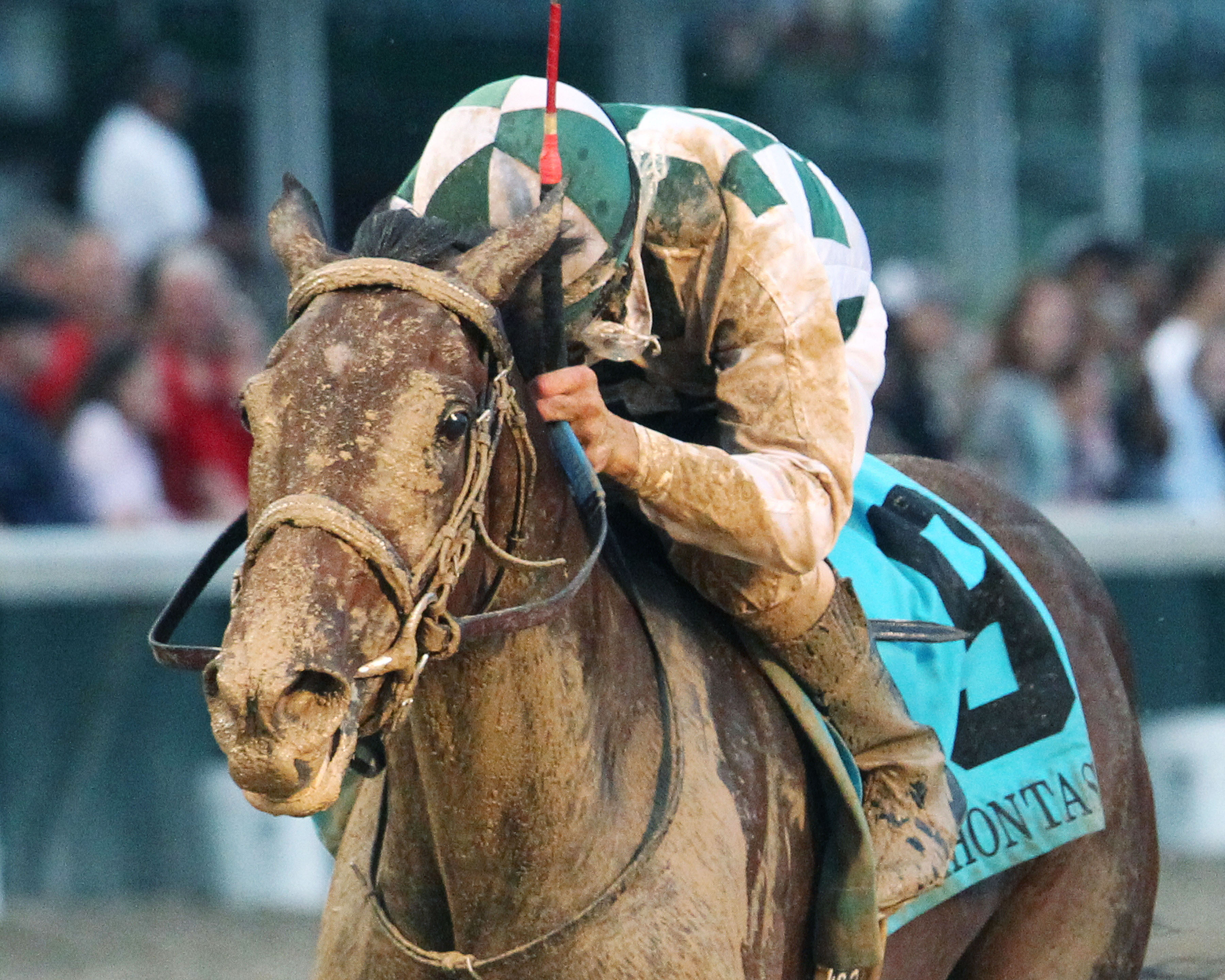 Daddys Lil Darling wins the Pocahontas