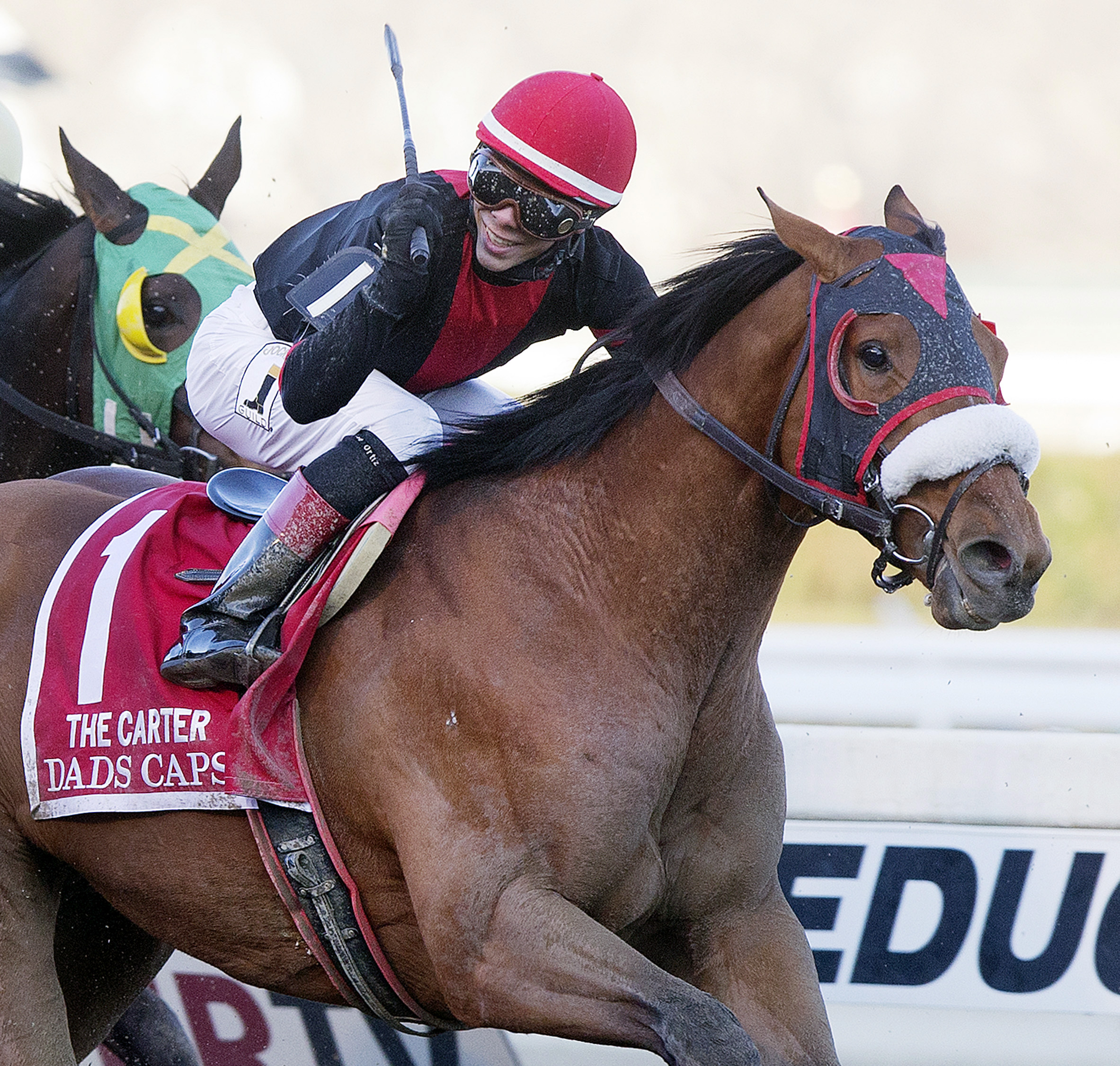 Dads Caps wins the Carter Handicap