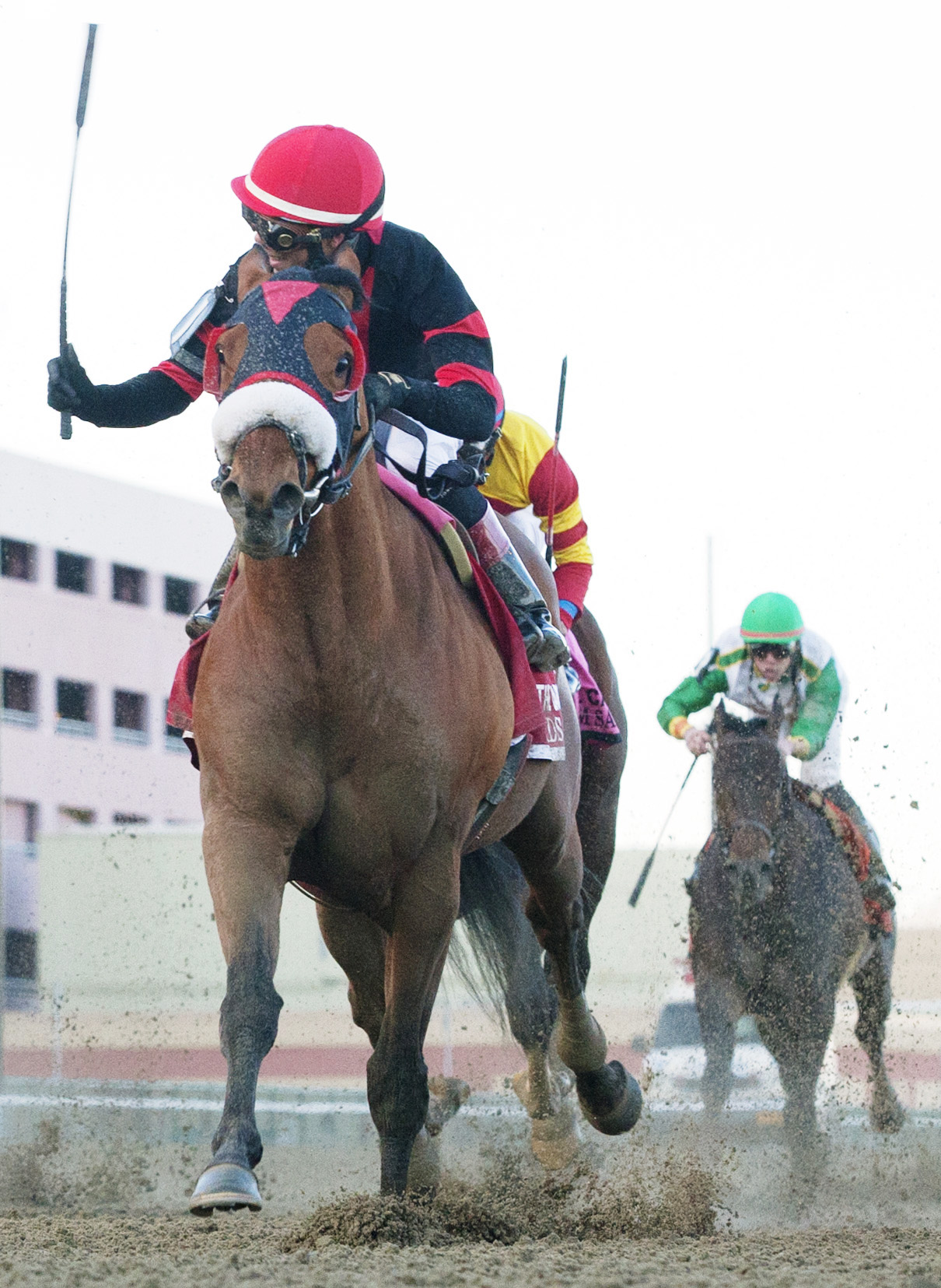 Dads Caps wins the 2015 Carter Handicap