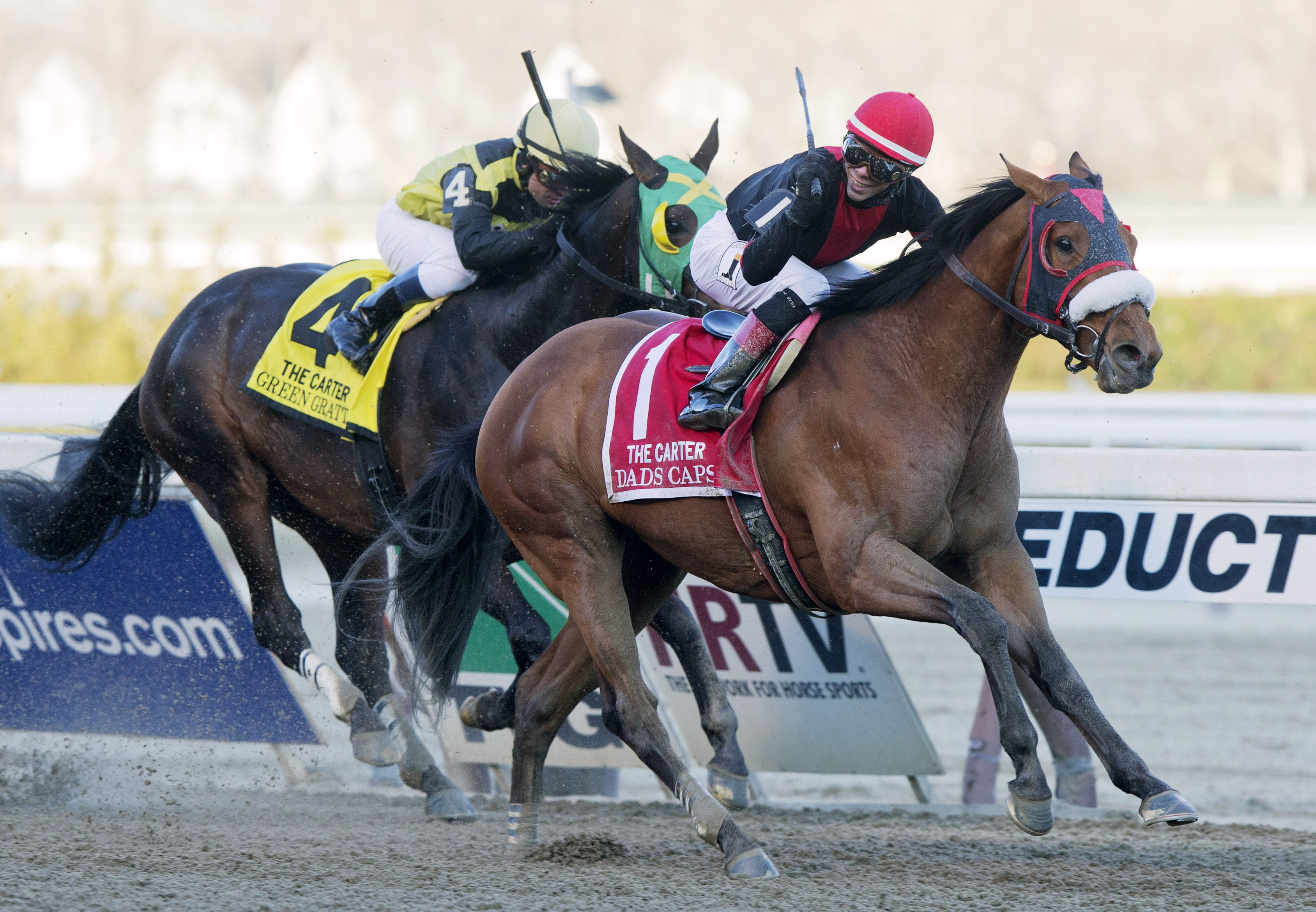 Dads Caps wins the 2015 Carter Handicap