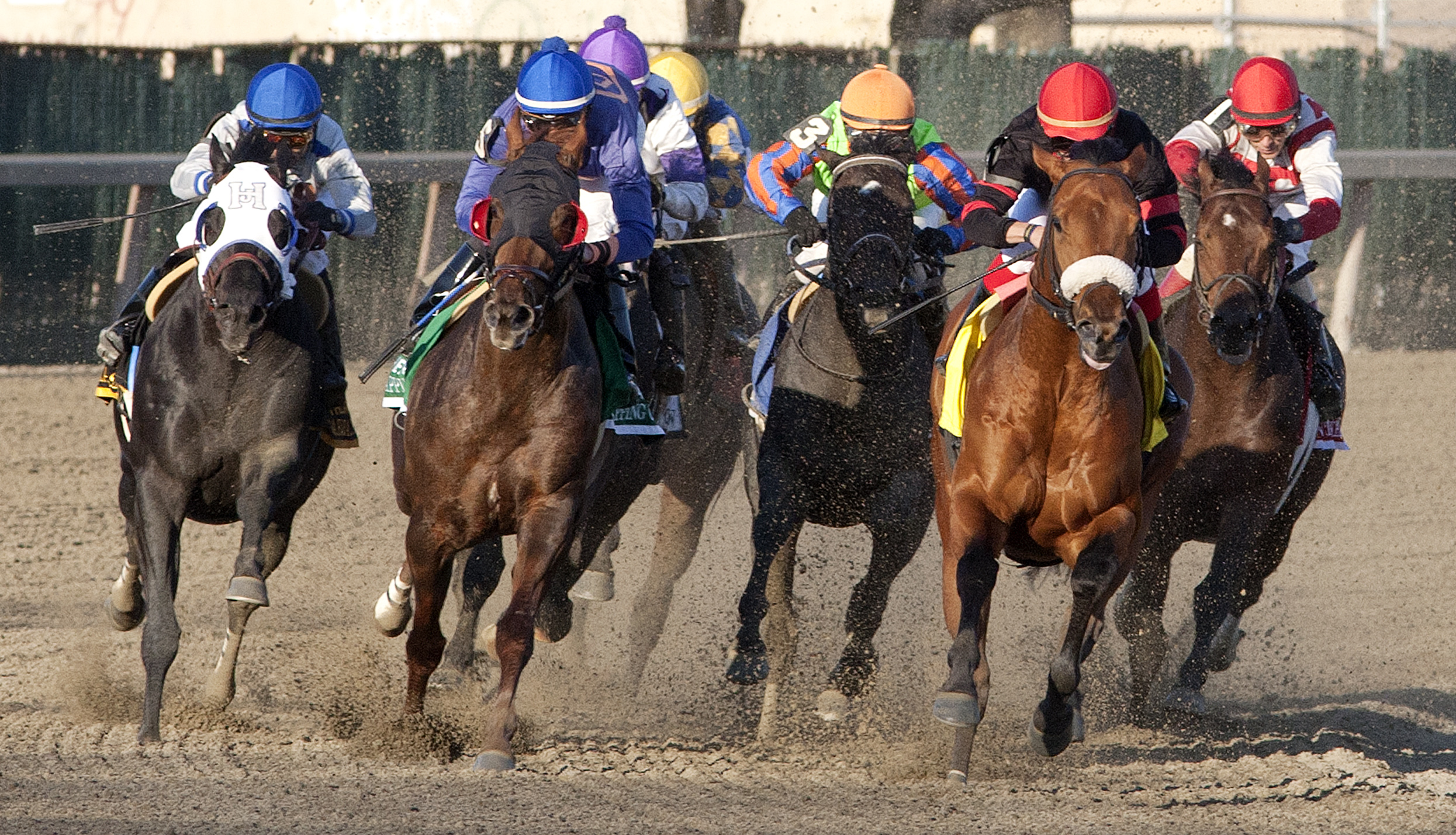 Dads Caps (shadow roll) leads the field in the Carter