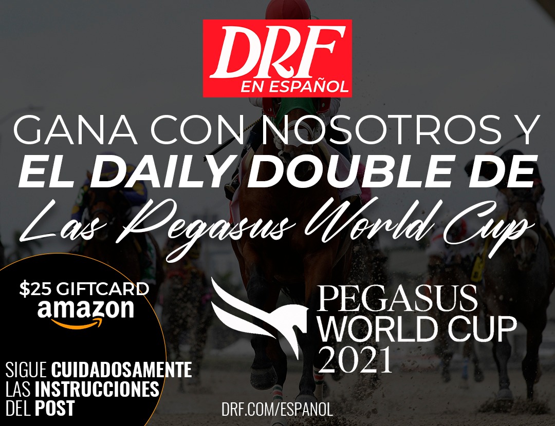 Daily Double de la Pegasus