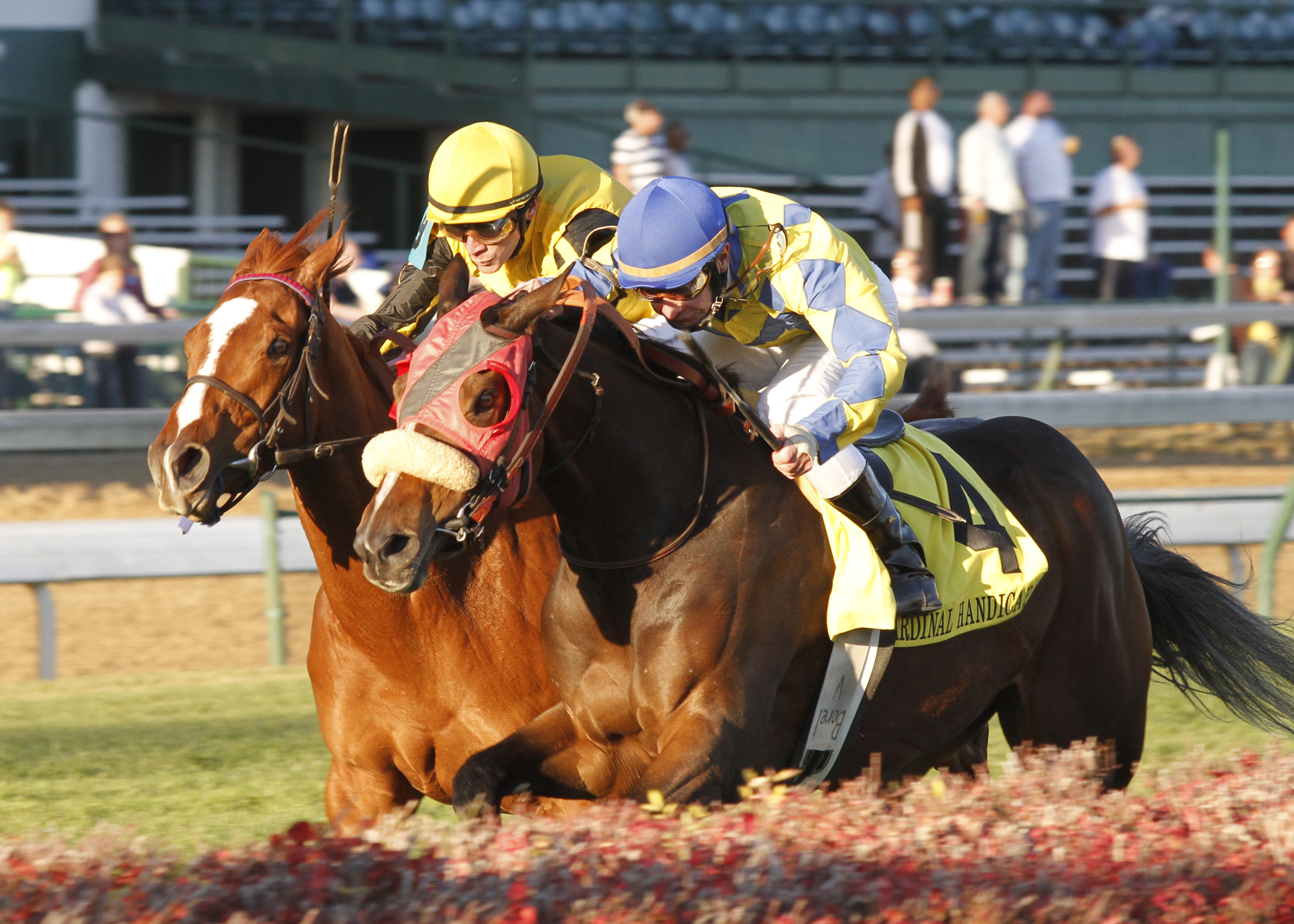 Daisy Devine (inside), Julia's Love, Cardinal Handicap