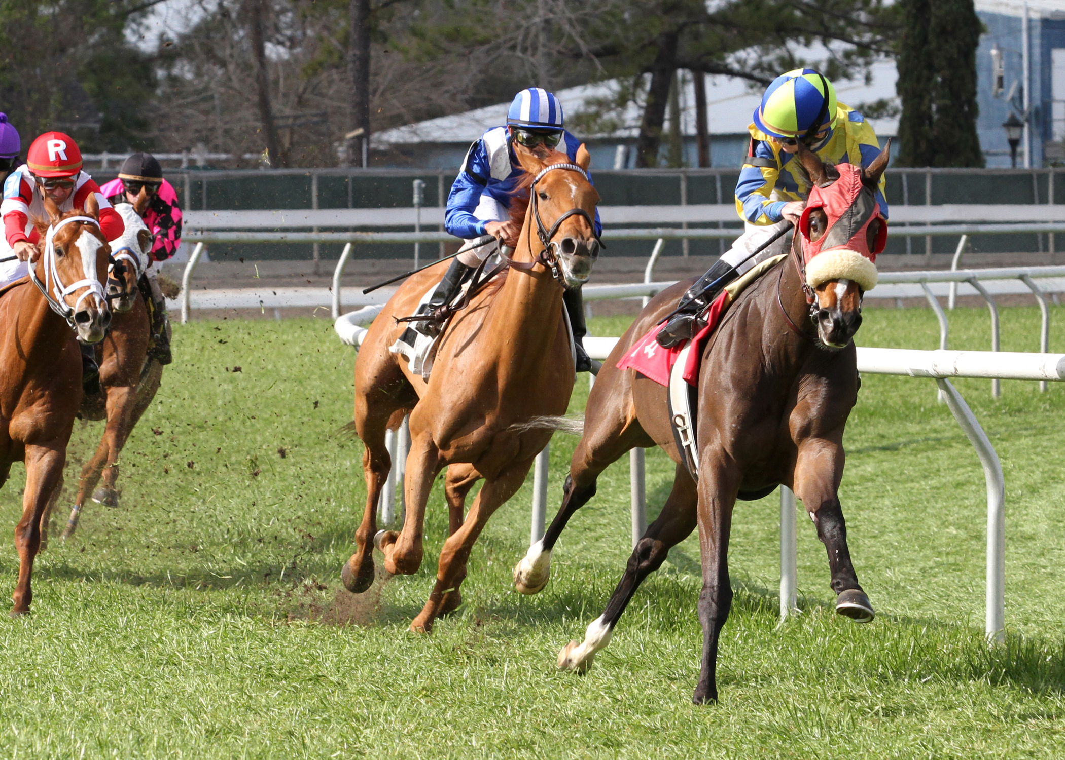 Daisy Devine, Marie Krantz Memorial Handicap