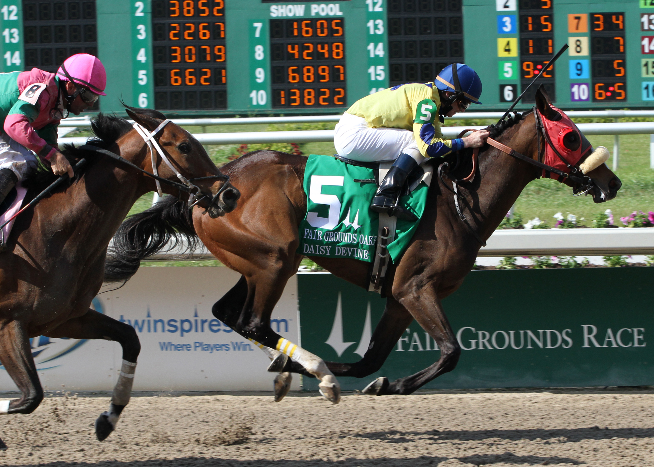 Daisy Devine/Fair Grounds Oaks