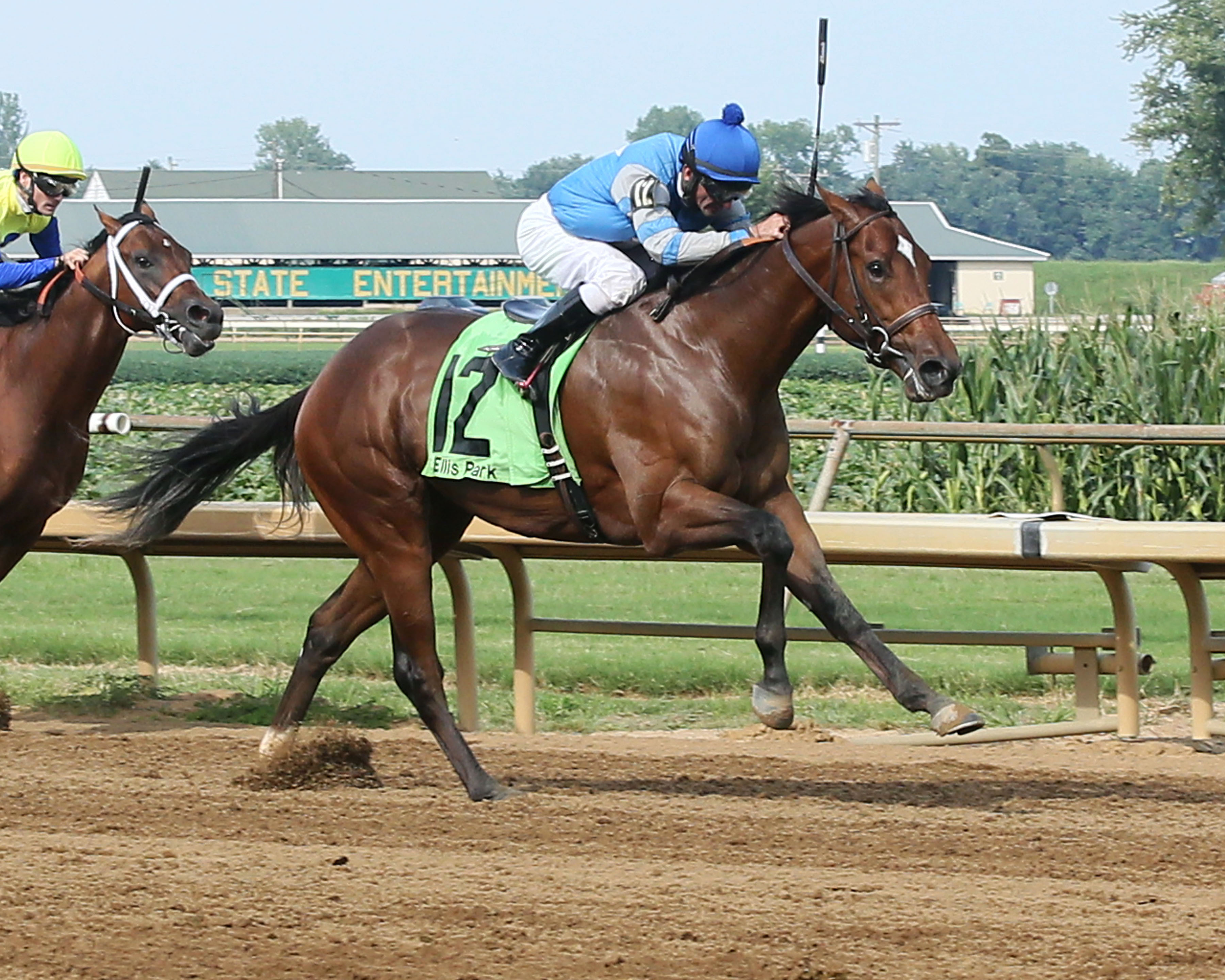 Dak Attack wins the 2017 Ellis Park Juvenile Stakes
