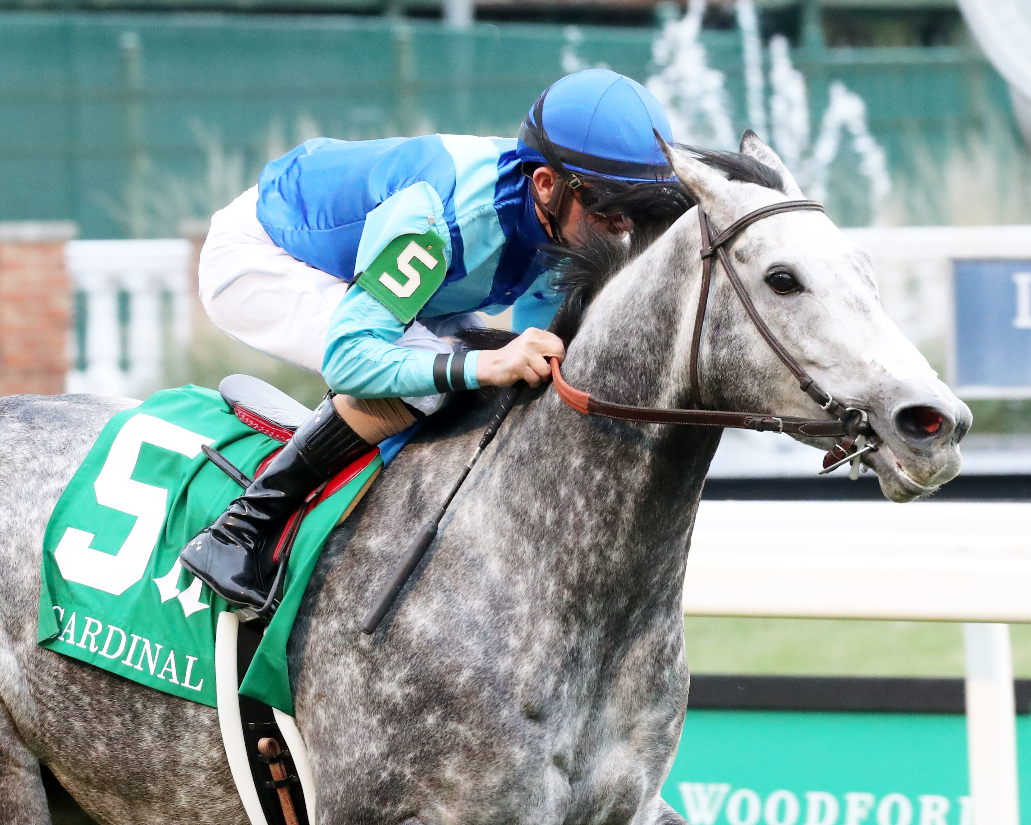Dalika wins the Cardinal at CD Nov 24 2022