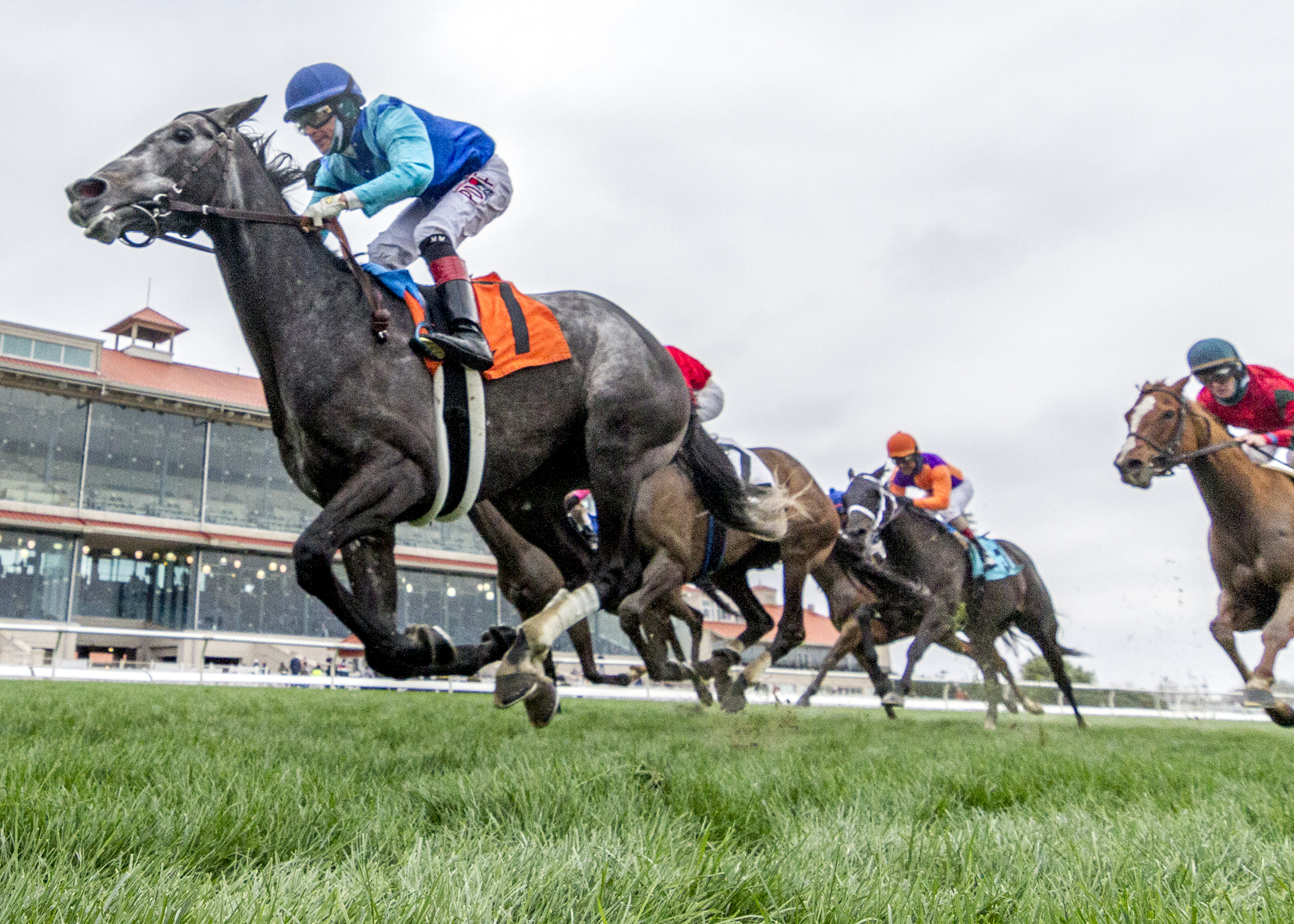 Dalika wins the Al Stall Memorial.2-13-2021