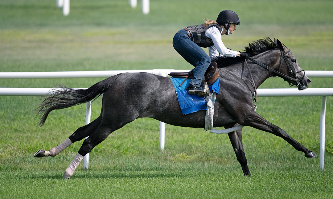 Dalika trains on the turf at Saratoga Race Course in July 2020
