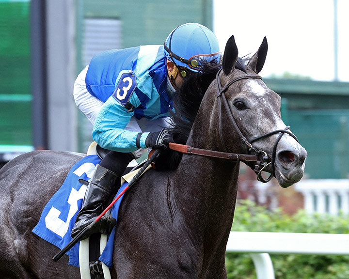 Dalika wins a May 21 allowance at Churchill Downs