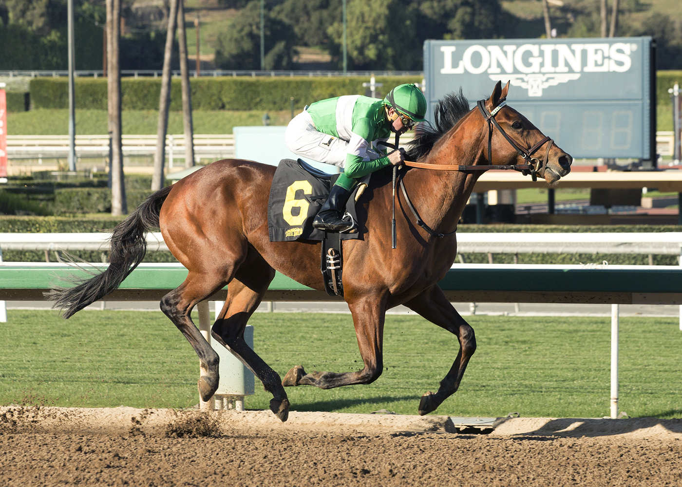 Dalmore wins a Feb. 15 optional claimer