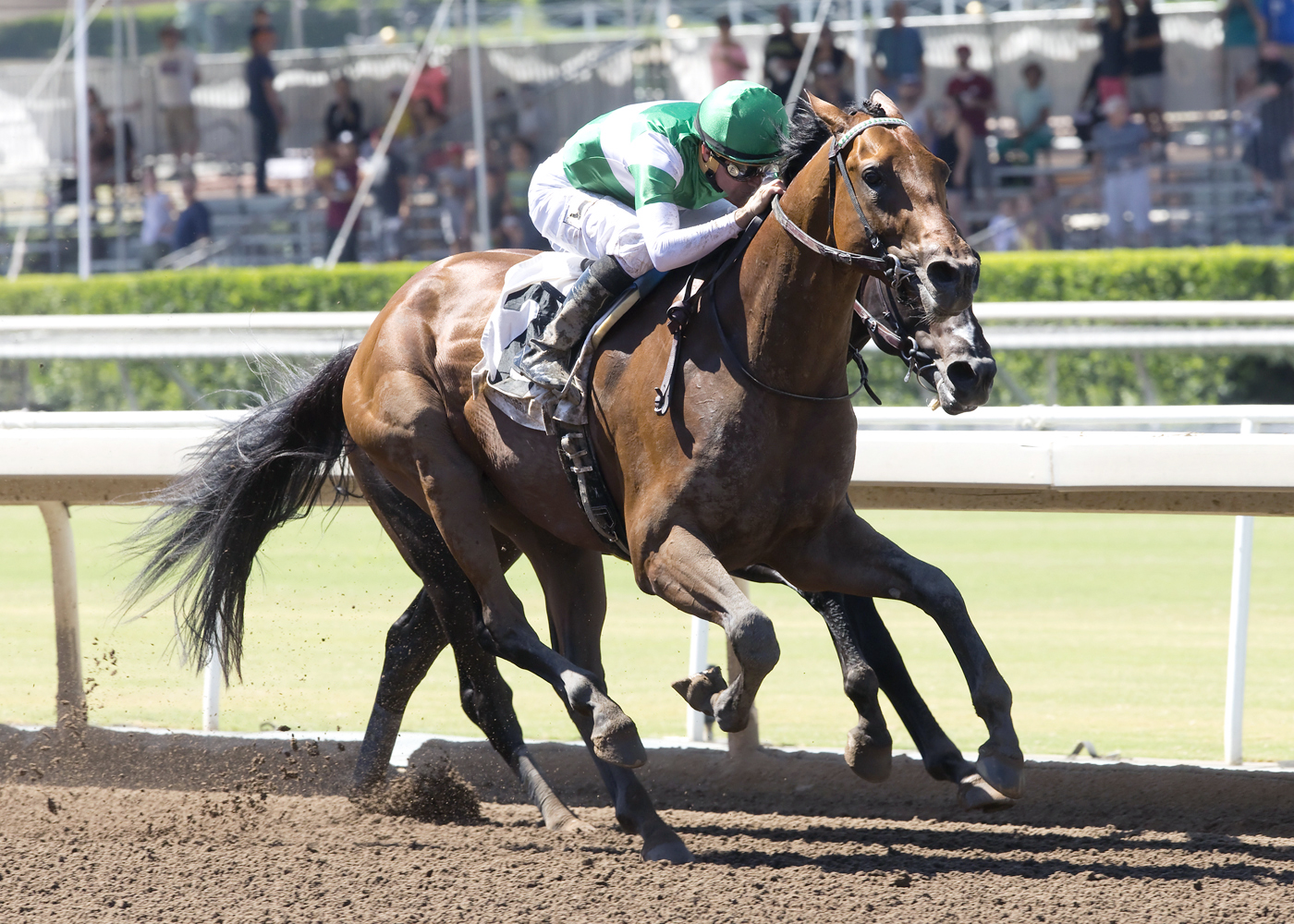 Dalmore wins the 2016 Affirmed Stakes