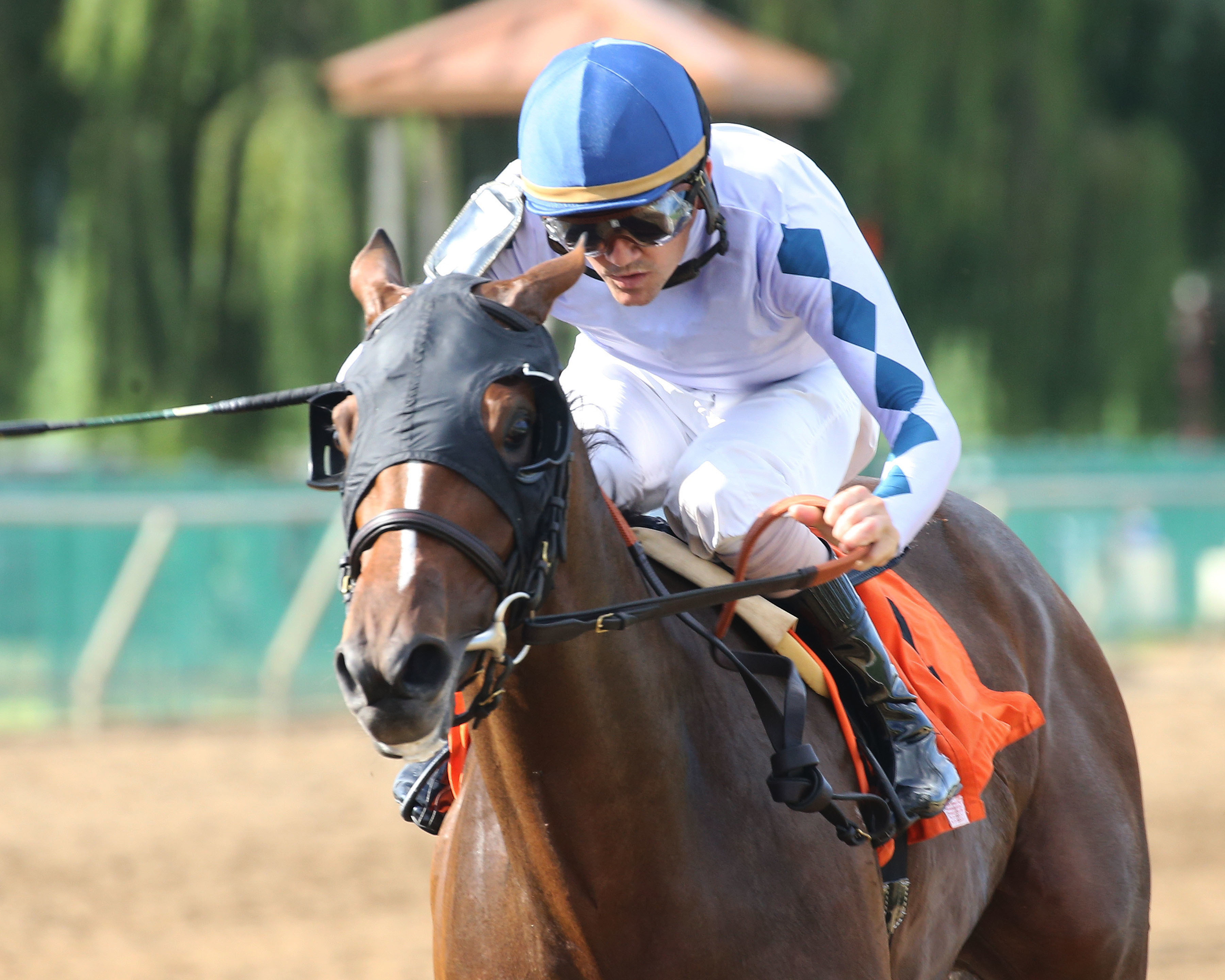 Dame Cinco wins maiden at ELP Aug 28 2021