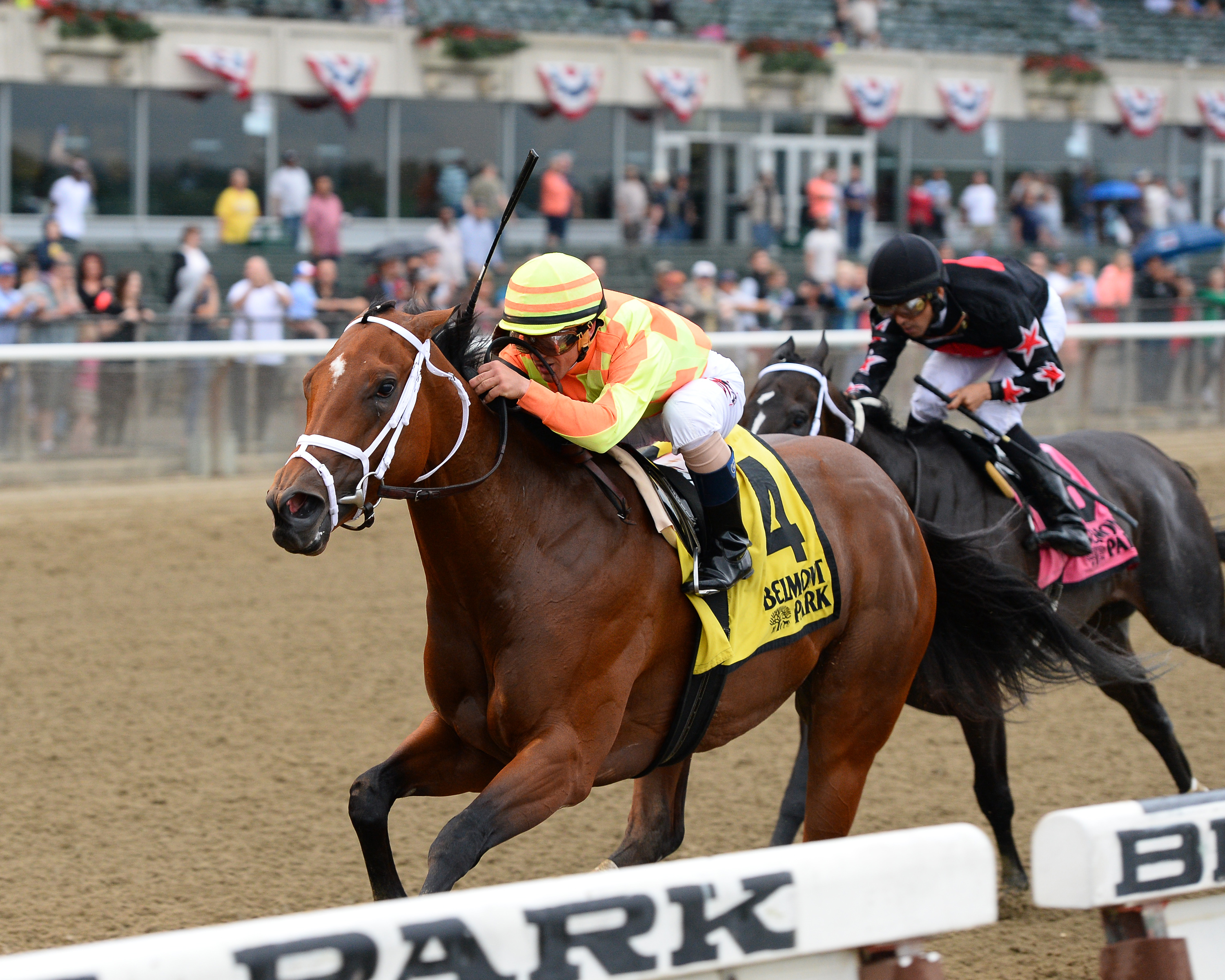 Dame Dorothy 6-20-2015