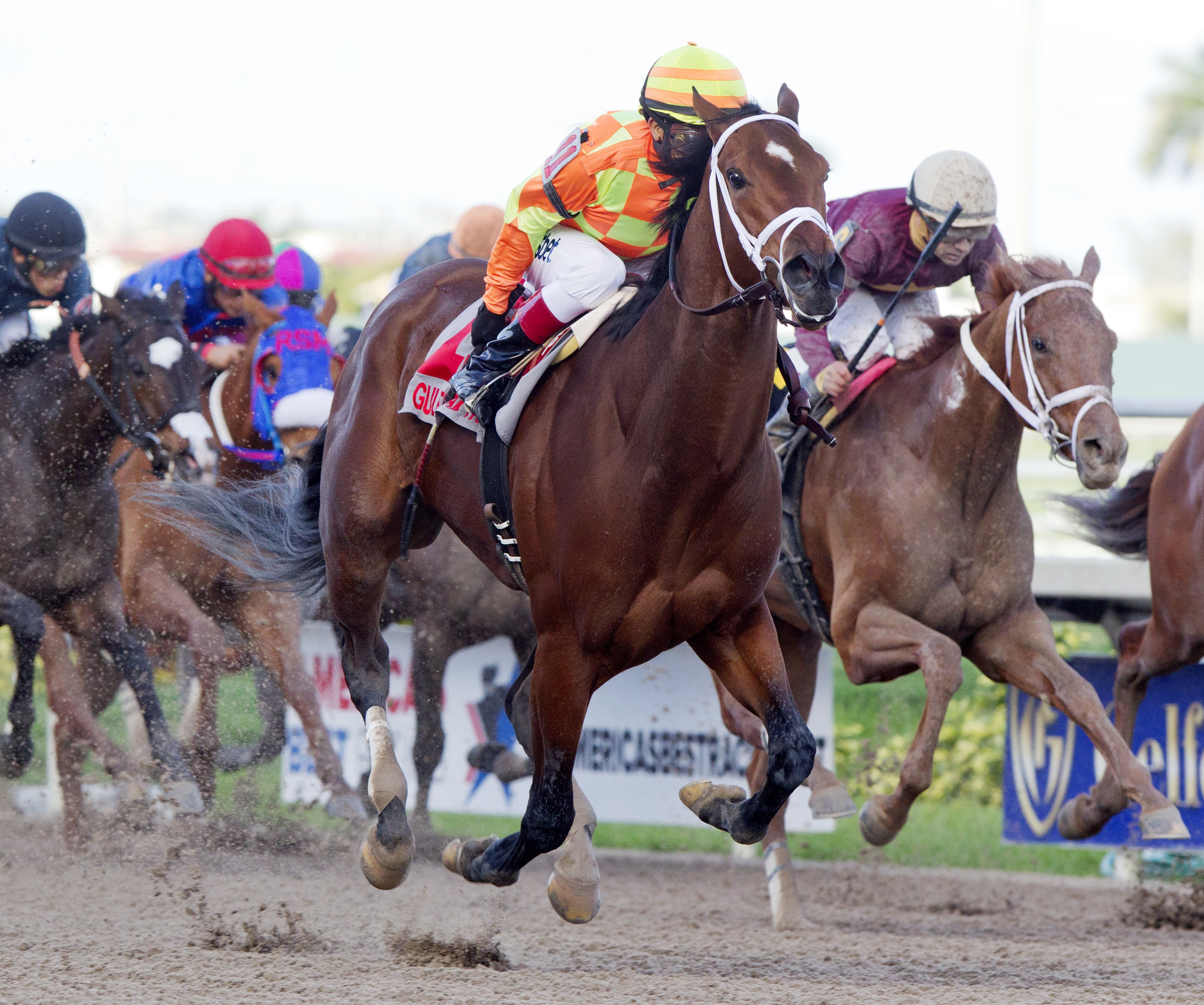 Dame Dorothy 1-17-2015