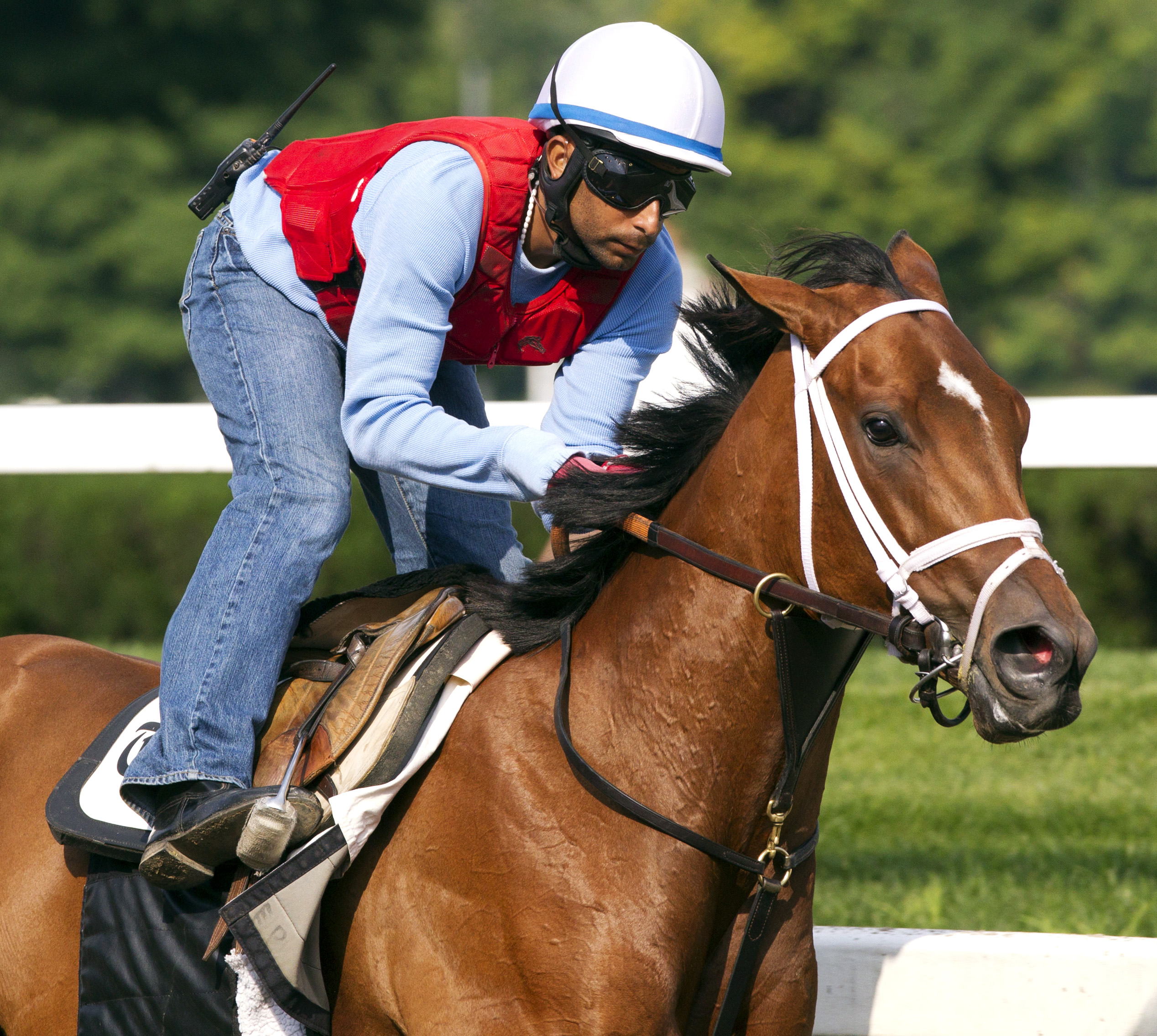 Dame Dorothy trains at Saratoga