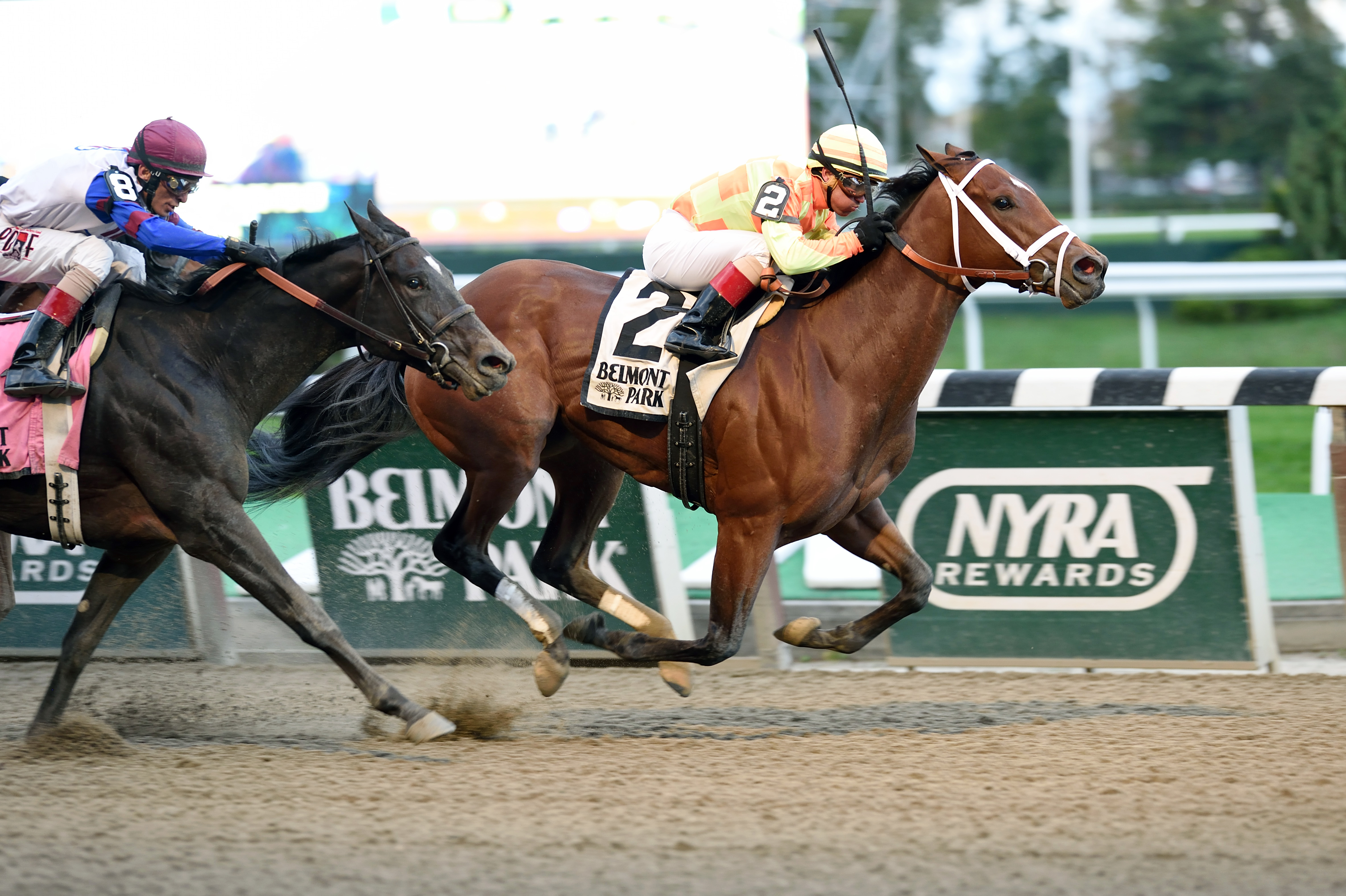 Dame Dorothy wins the Turnback the Alarm