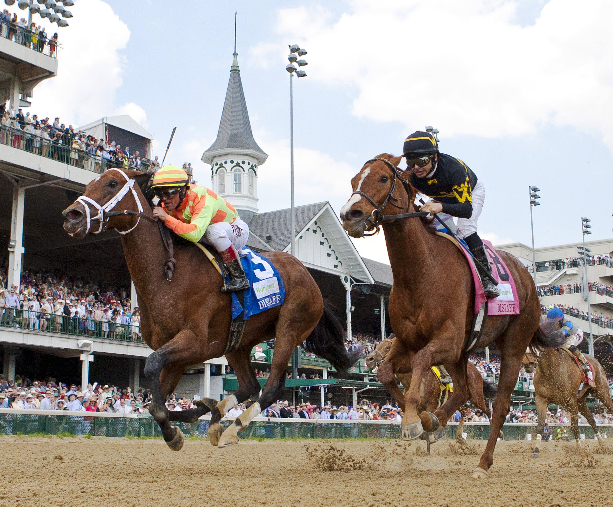 Judy the Beauty finishes second in the Humana Distaff
