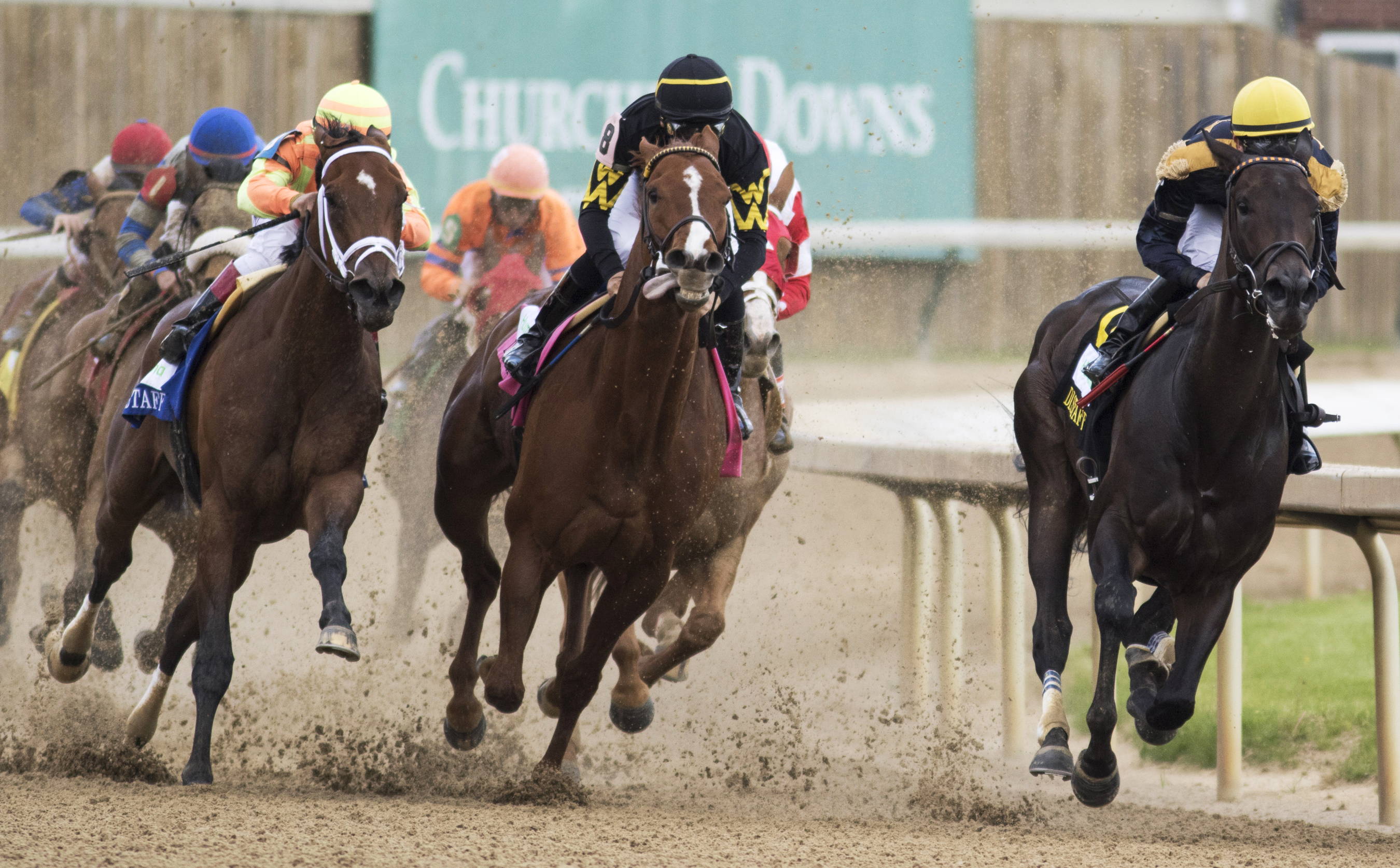 Dame Dorothy wins the Humana Distaff