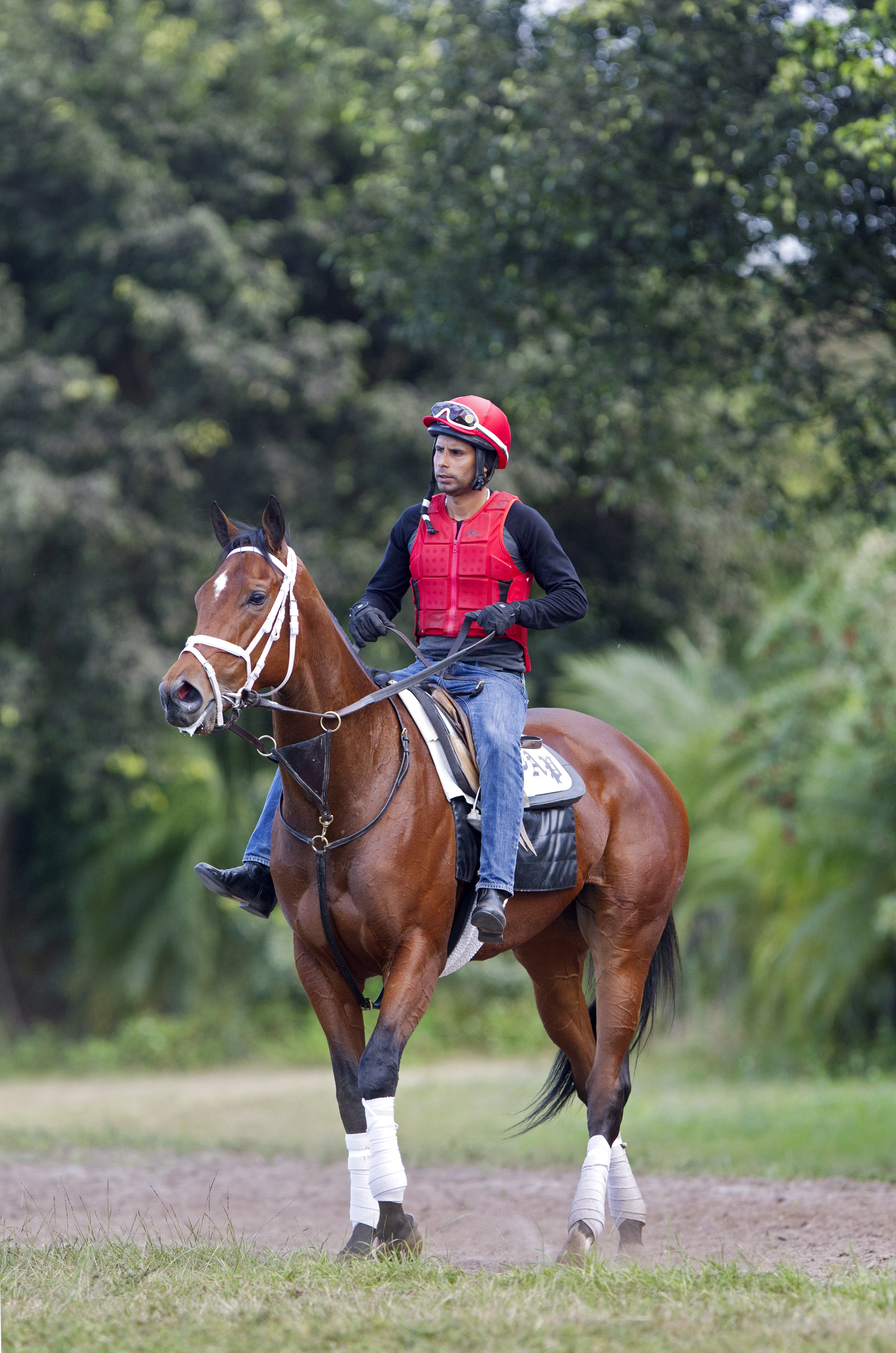 Dame Dorothy at Palm Beach Downs