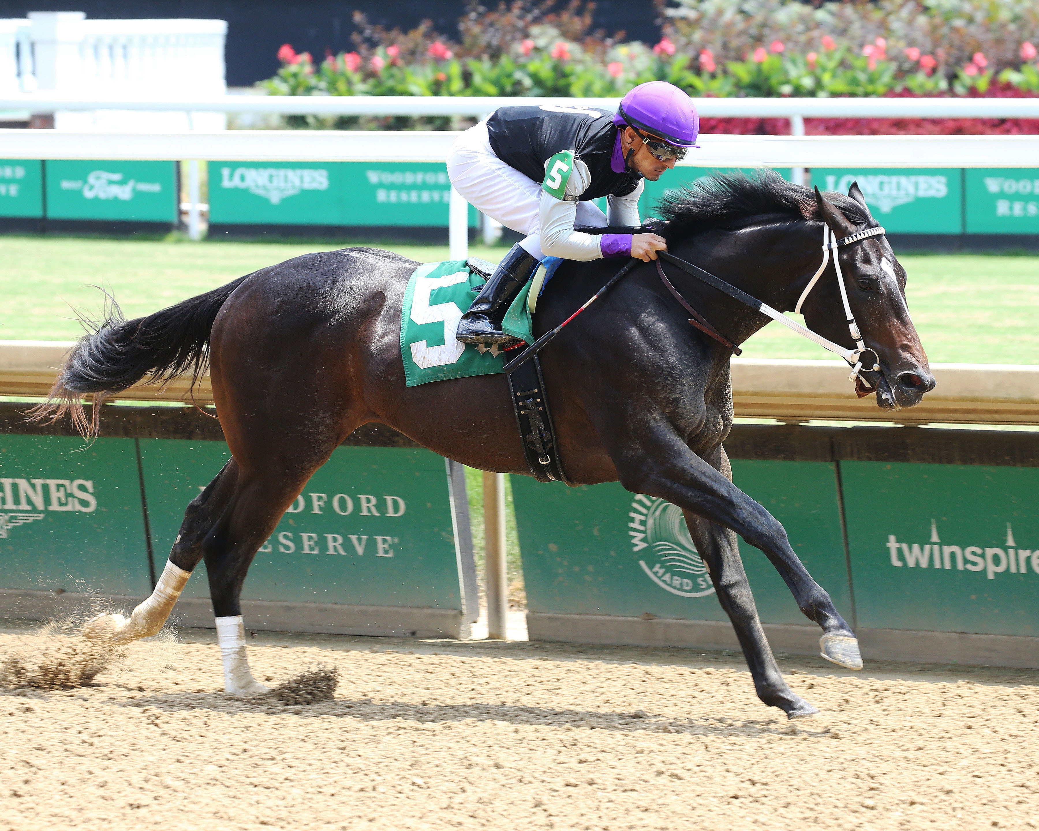 Damon's Mound wins debut at Churchill on July 2 2022