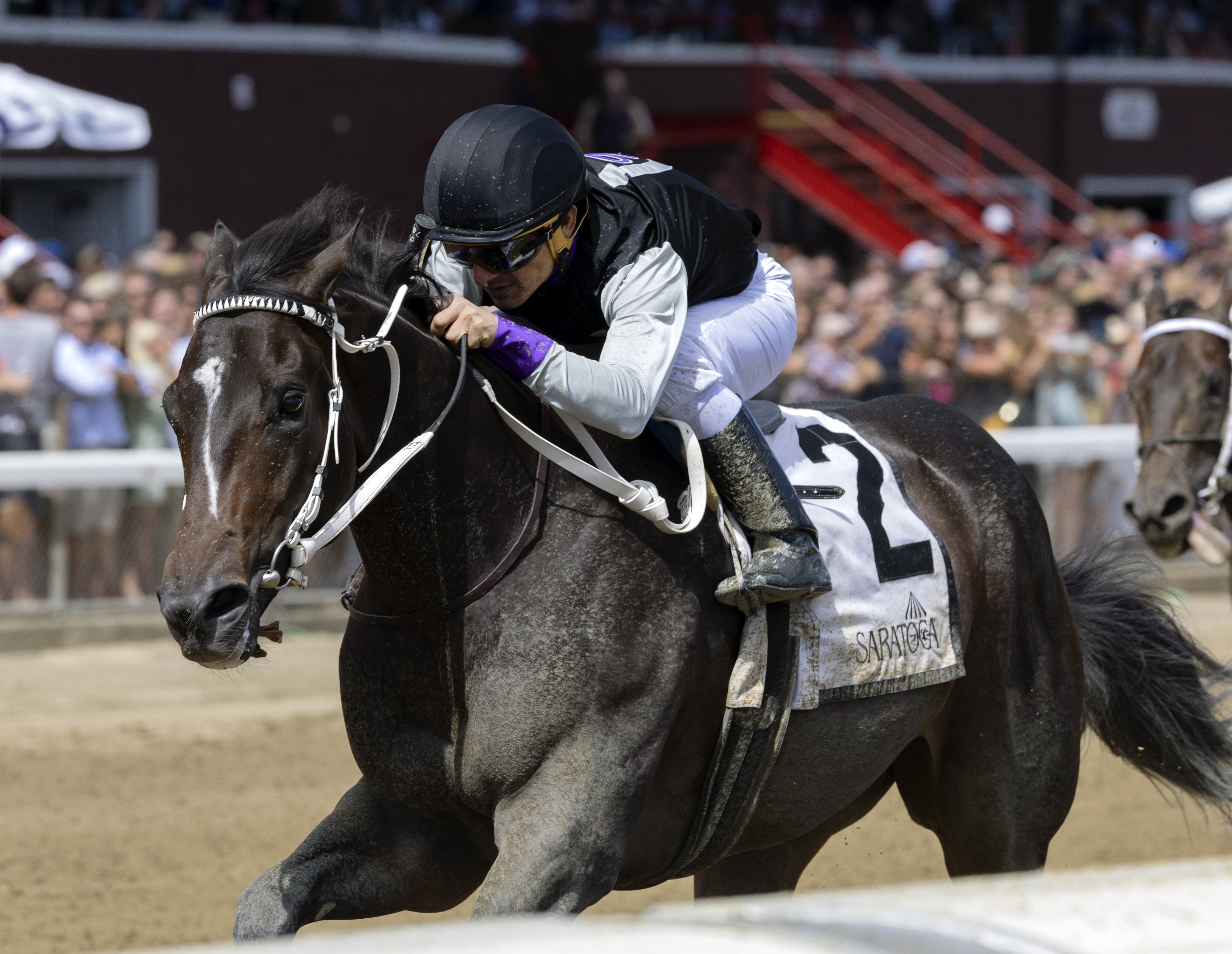 Damon's Mound wins Saratoga Special 8-13-2022
