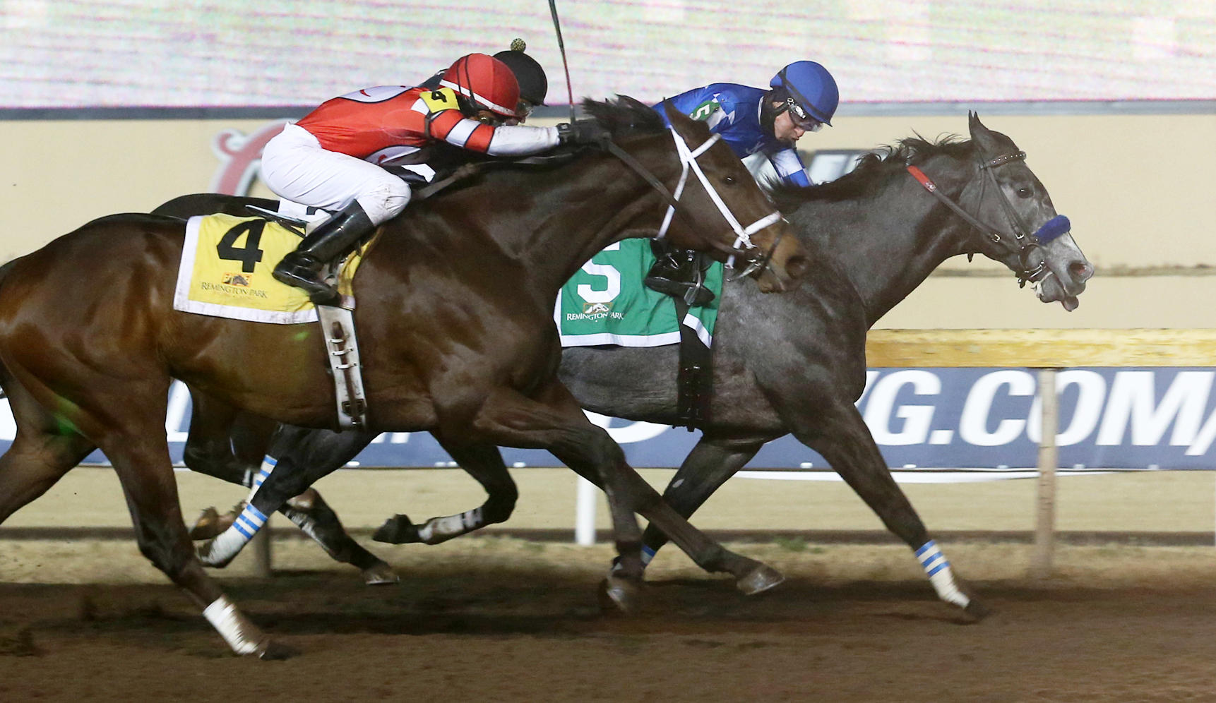 Dazzling Gem finishes second in the Jeffrey Hawk Memorial